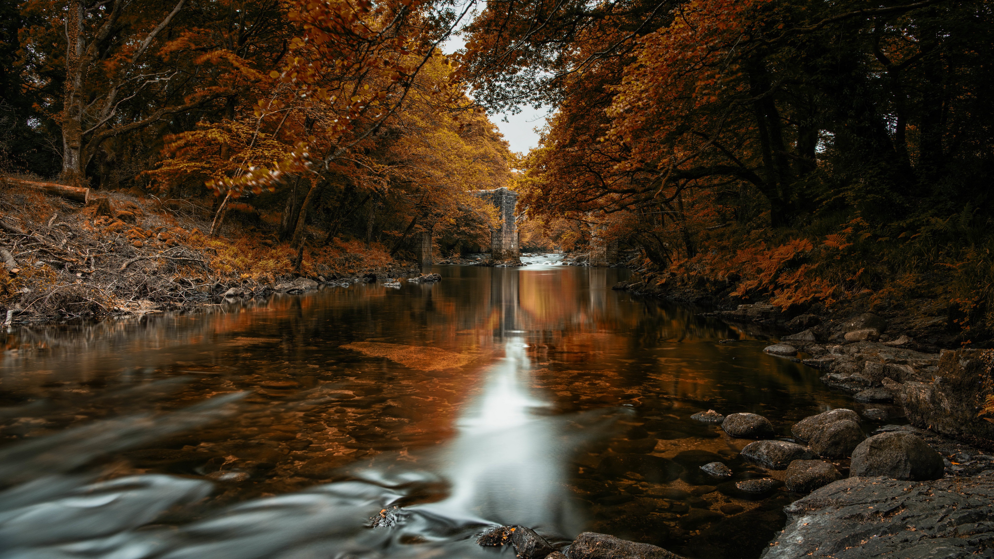 Laden Sie das Natur, Herbst, Fluss, Erde/natur-Bild kostenlos auf Ihren PC-Desktop herunter