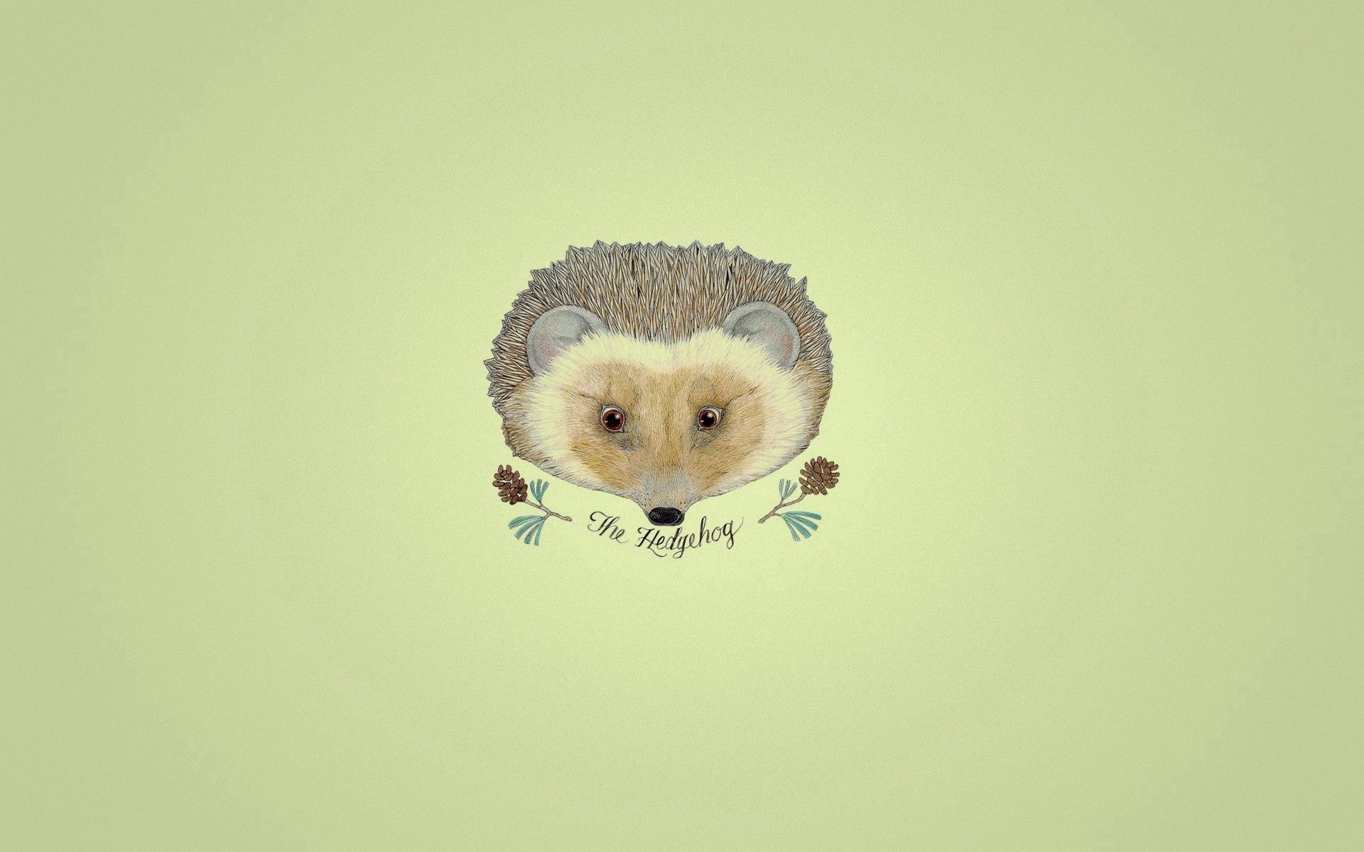 Download mobile wallpaper Hedgehog, Flowers, Picture, Art, Drawing for free.