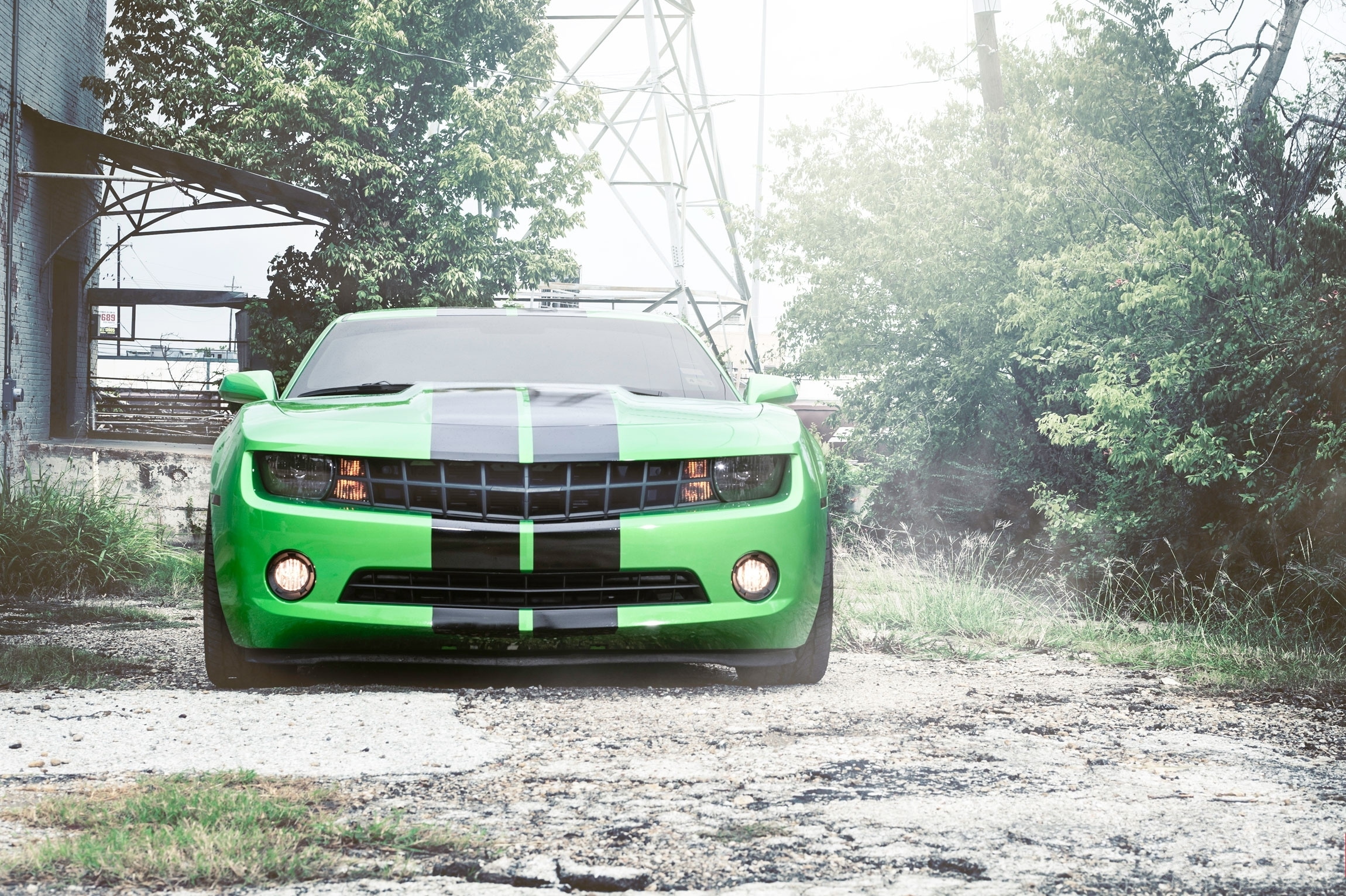 black, green, chevrolet, cars, stripes, streaks, camaro, front end, limber