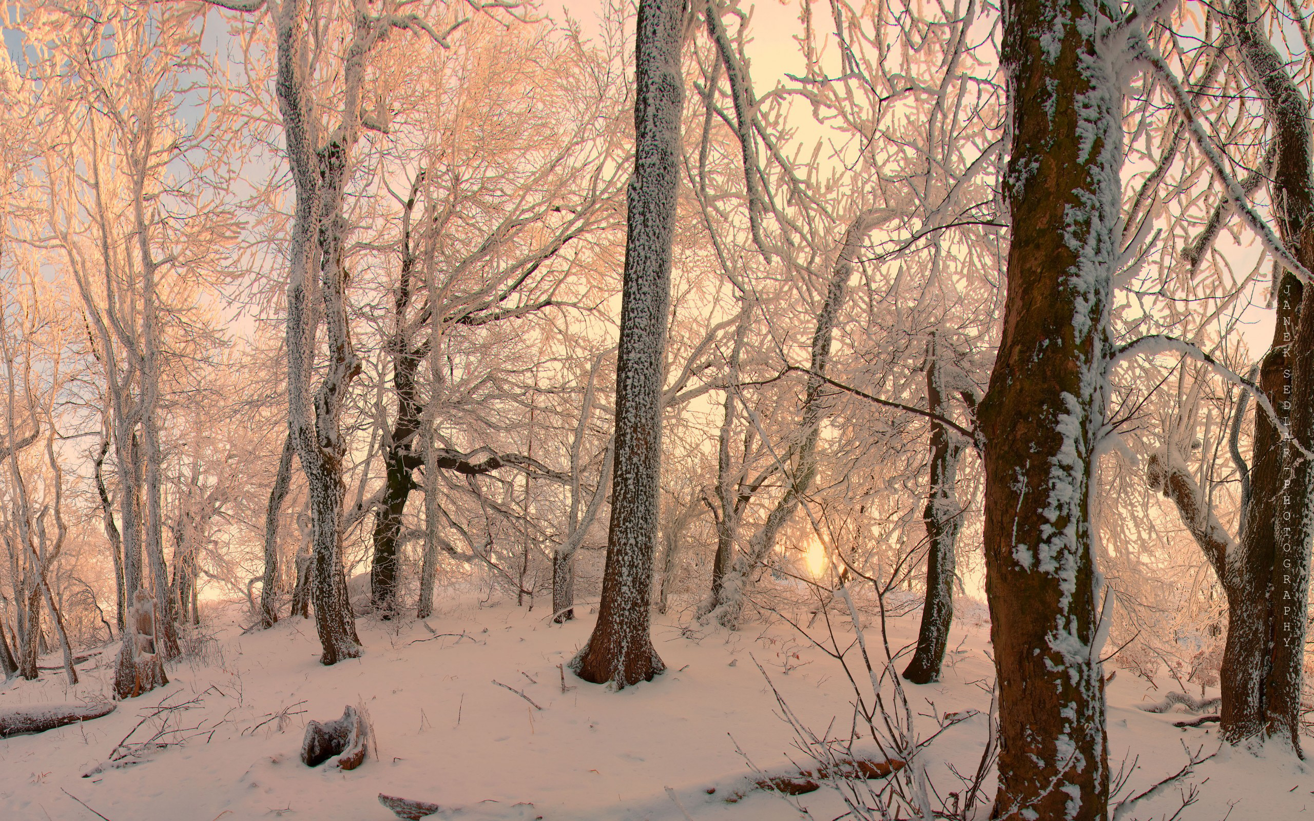 Téléchargez gratuitement l'image Hiver, Terre/nature sur le bureau de votre PC