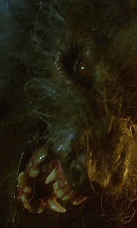 Download mobile wallpaper Movie, The Howling for free.