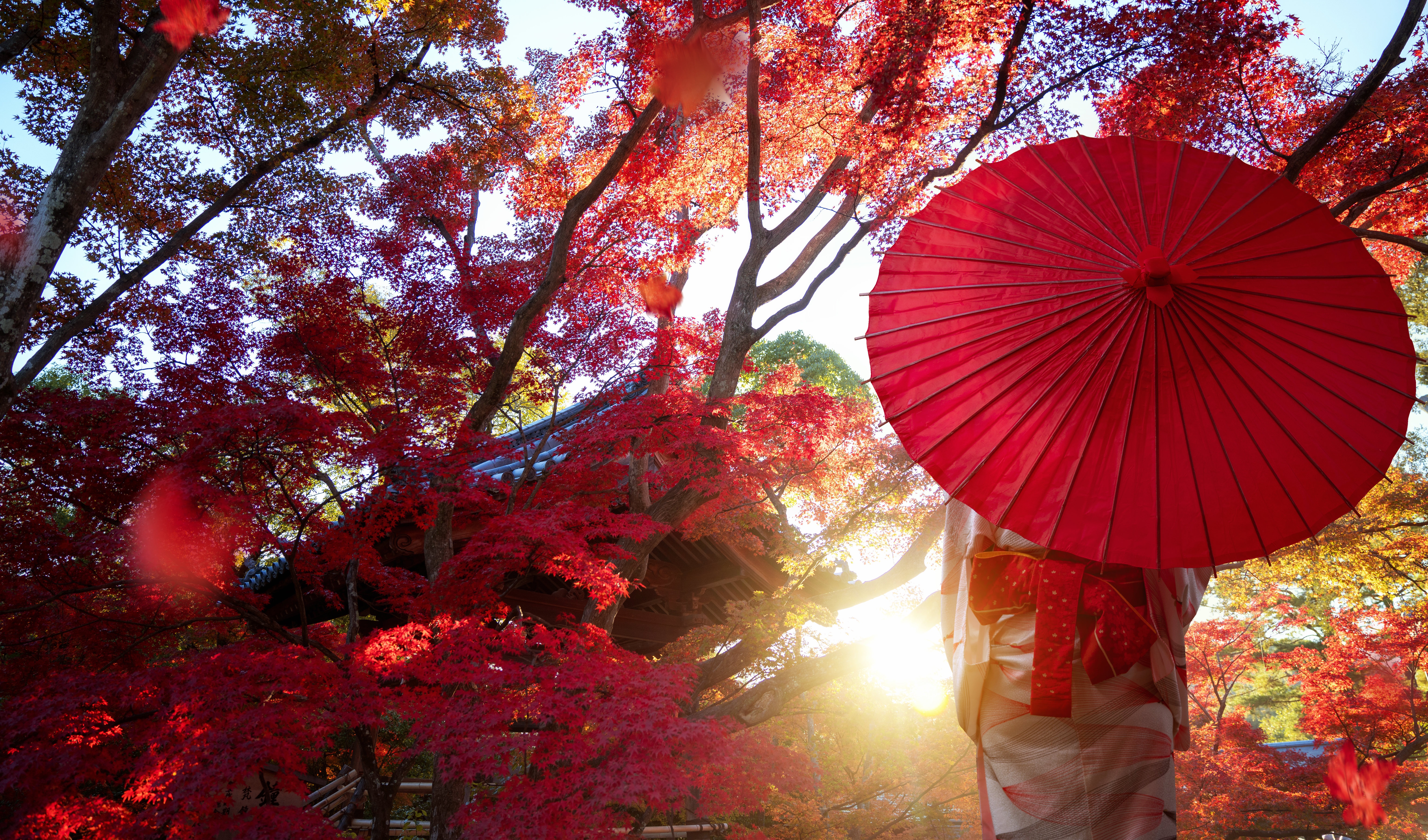 Laden Sie das Herbst, Regenschirm, Stimmung, Frauen, Asiatinnen-Bild kostenlos auf Ihren PC-Desktop herunter