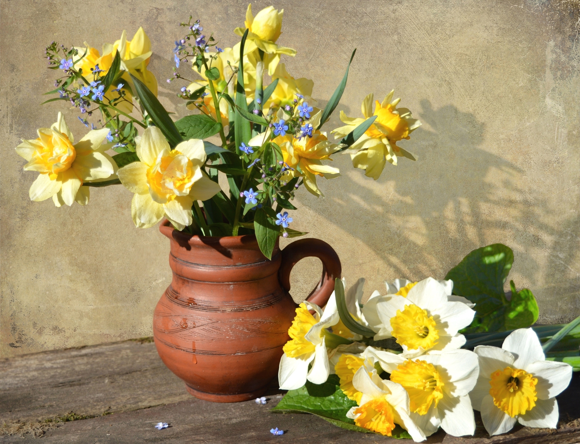 Free download wallpaper Still Life, Flower, Vase, Photography, Yellow Flower, White Flower, Daffodil on your PC desktop