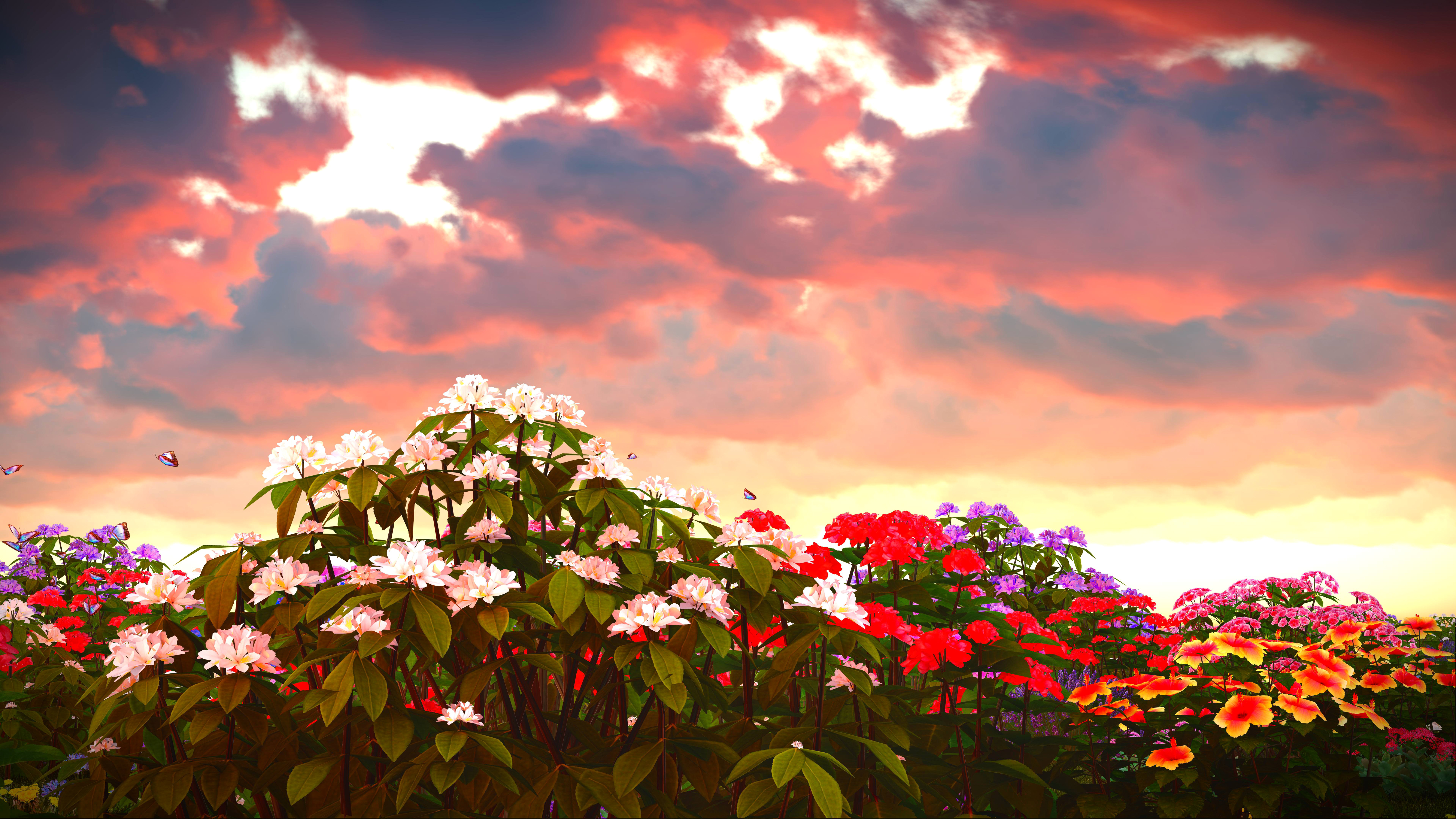earth, phlox, cloud, flower, nature, purple flower, red flower, white flower, flowers
