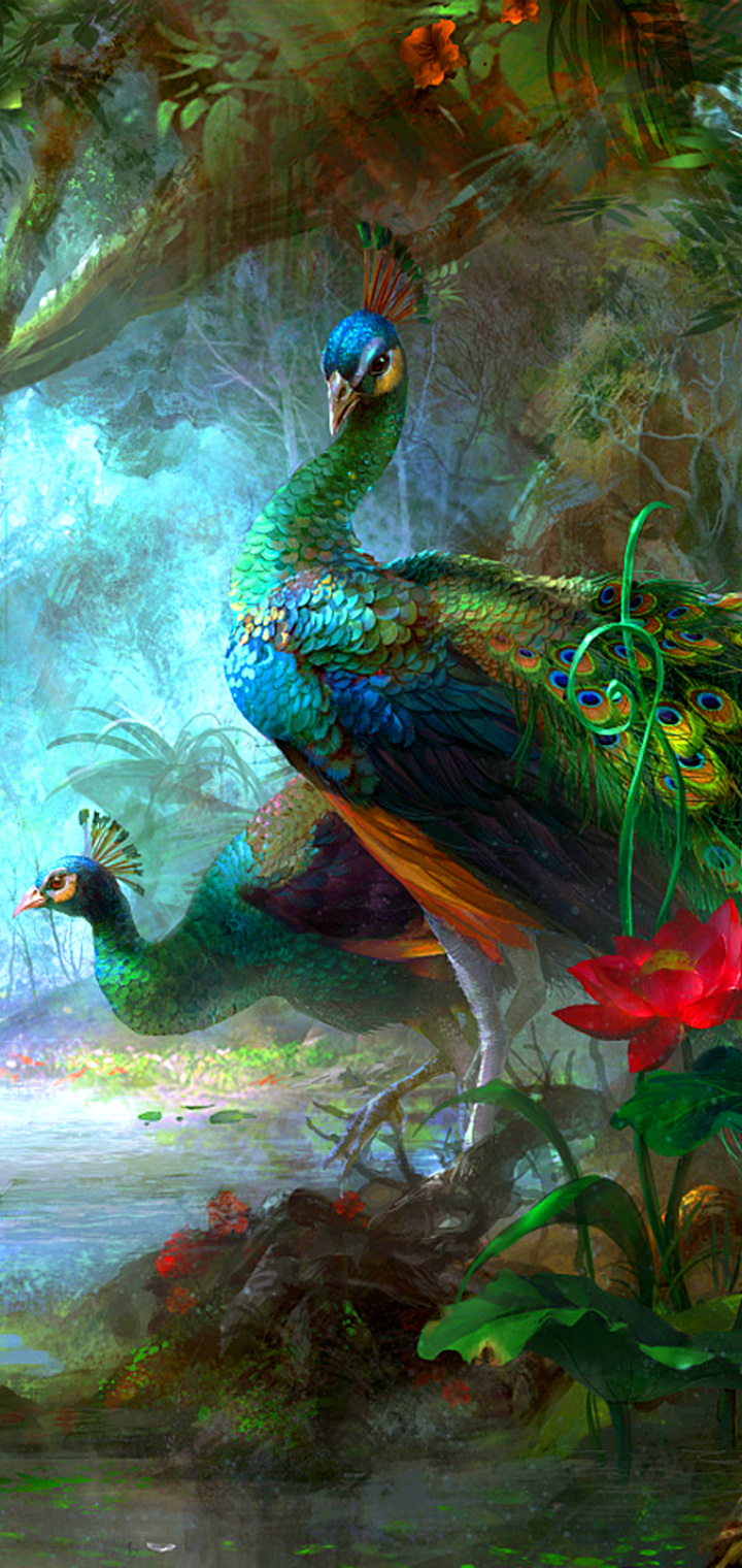 Download mobile wallpaper Birds, Bird, Animal, Colorful, Peacock, Peafowl for free.