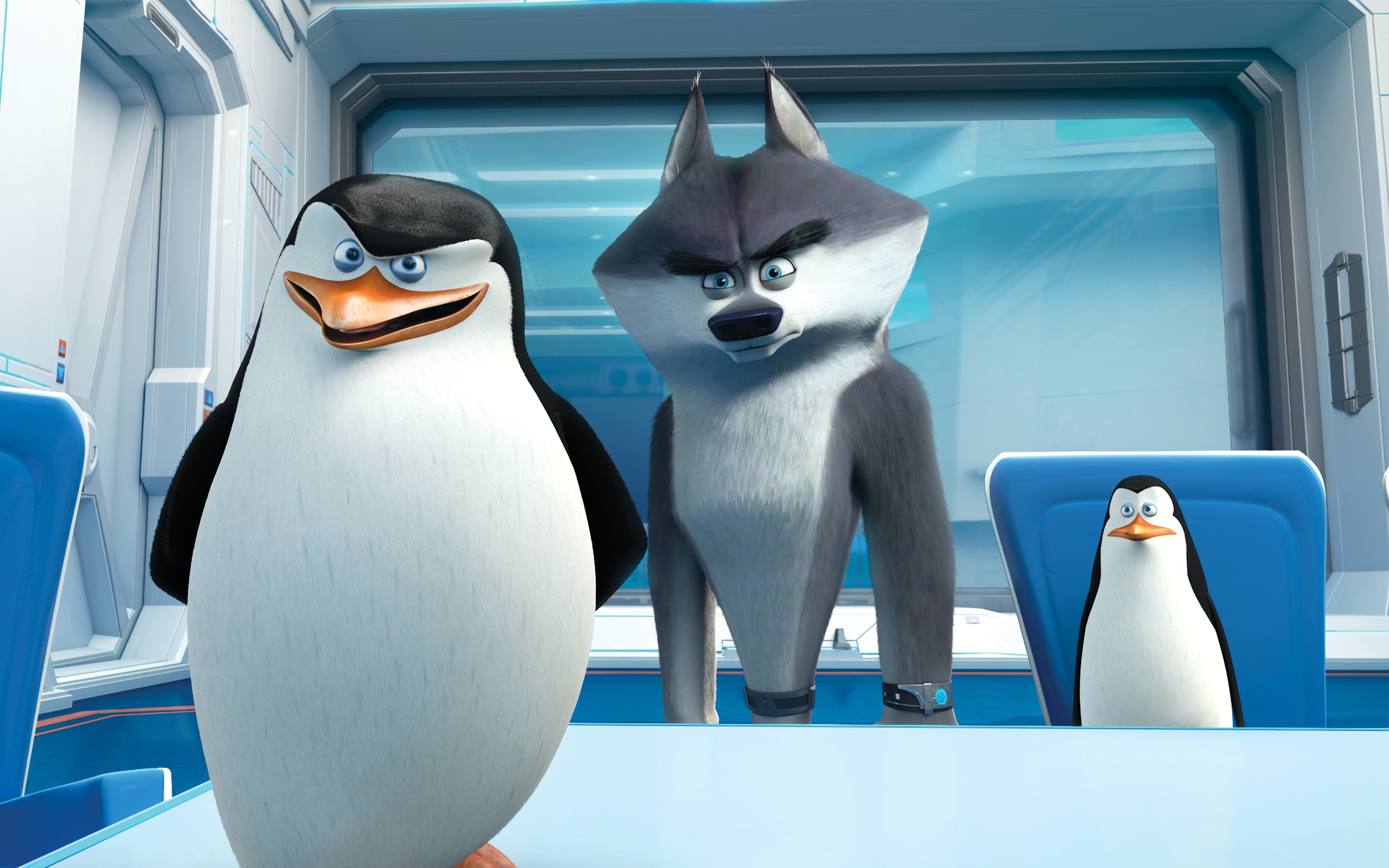 Laden Sie das Filme, Die Pinguine Aus Madagascar-Bild kostenlos auf Ihren PC-Desktop herunter