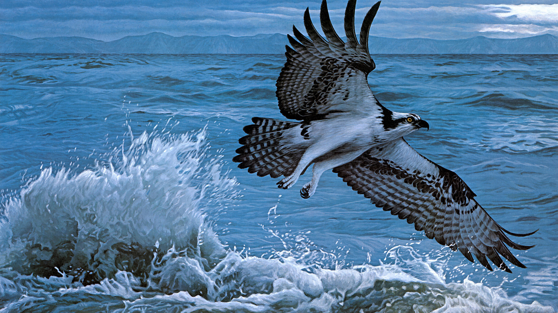 493424 descargar imagen animales, águila pescadora, ave, aves: fondos de pantalla y protectores de pantalla gratis