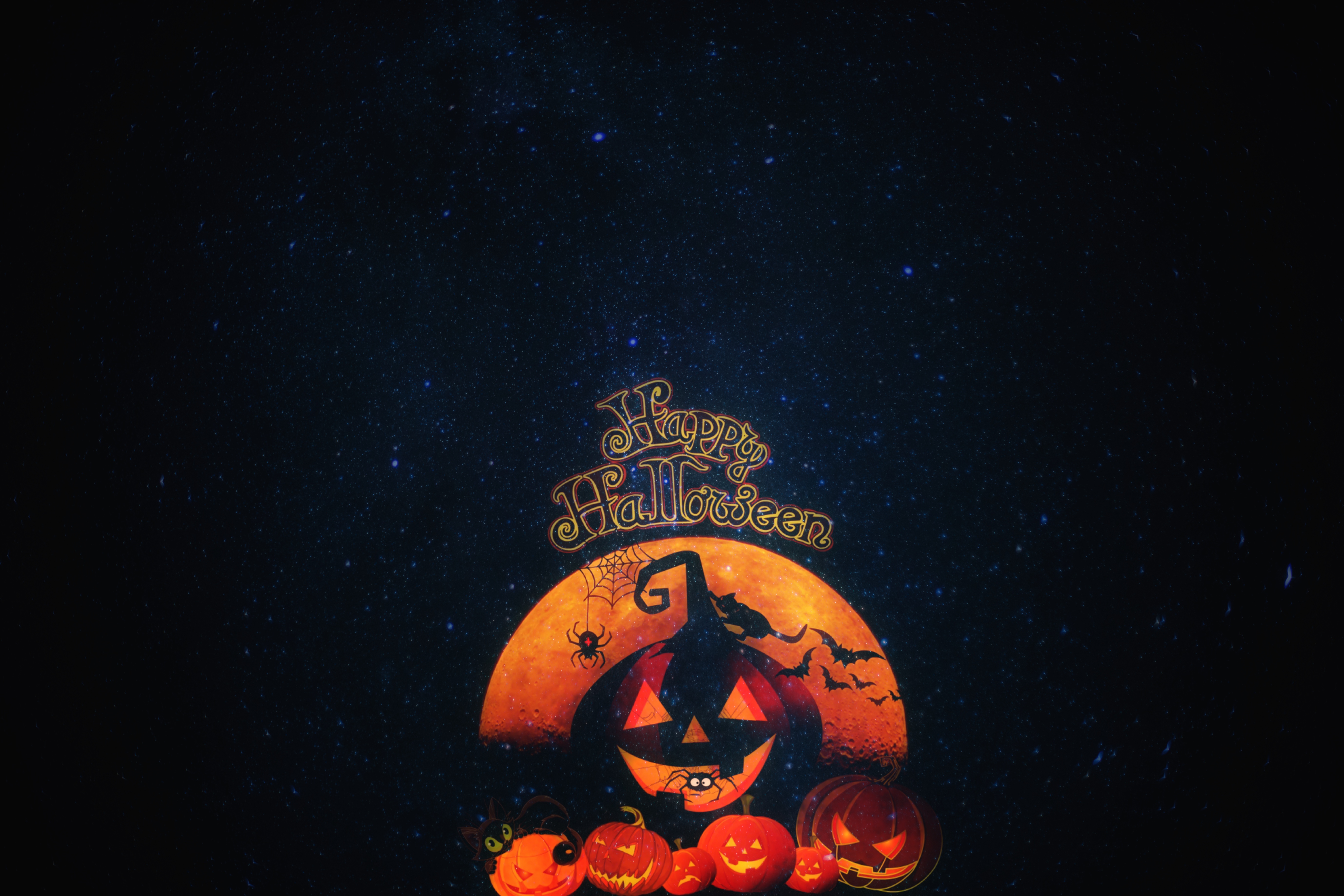 halloween, autumn, pumpkin, holiday, holidays, cat HD wallpaper
