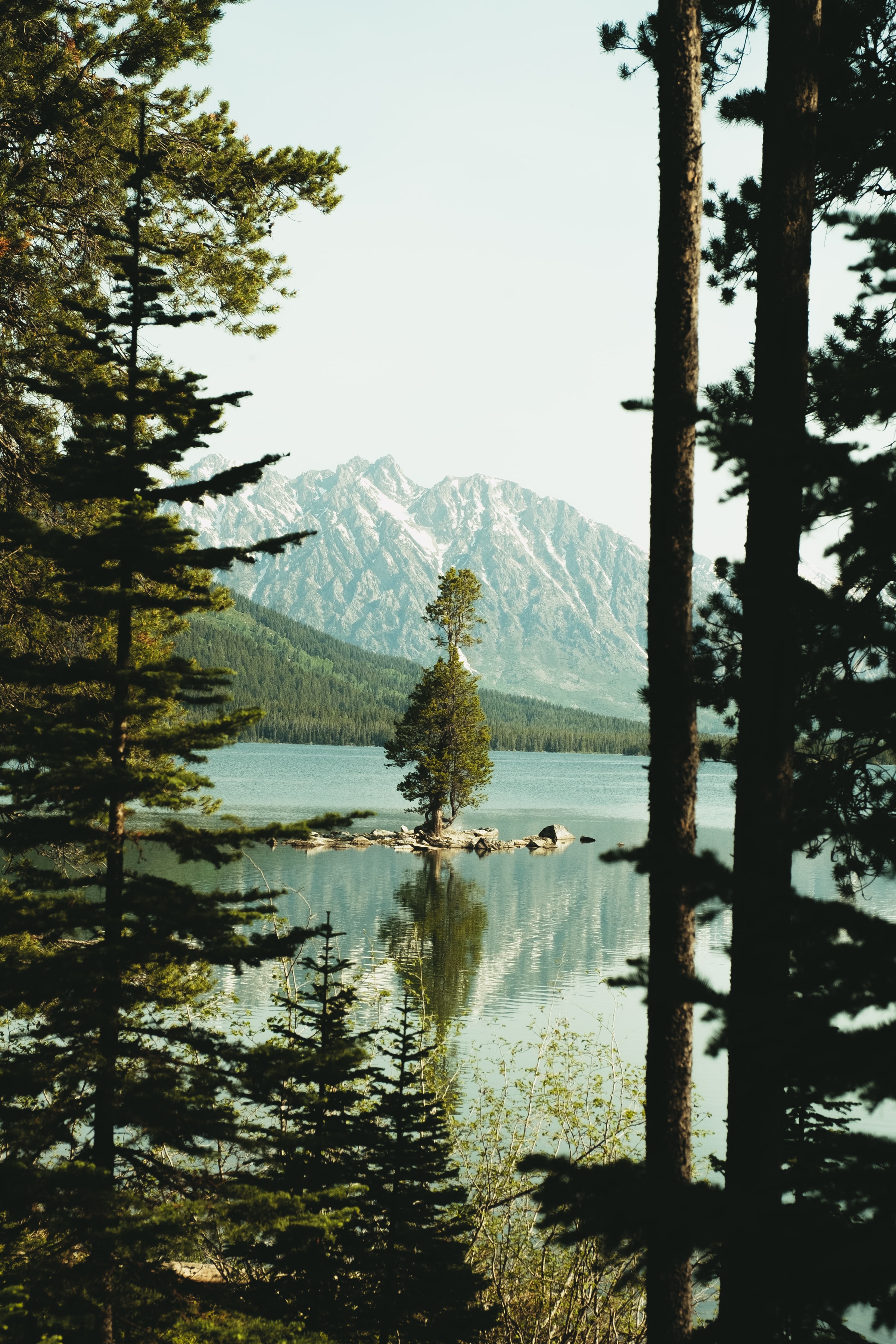 Download mobile wallpaper Spruce, Slope, Fir, Mountains, Lake, Nature for free.