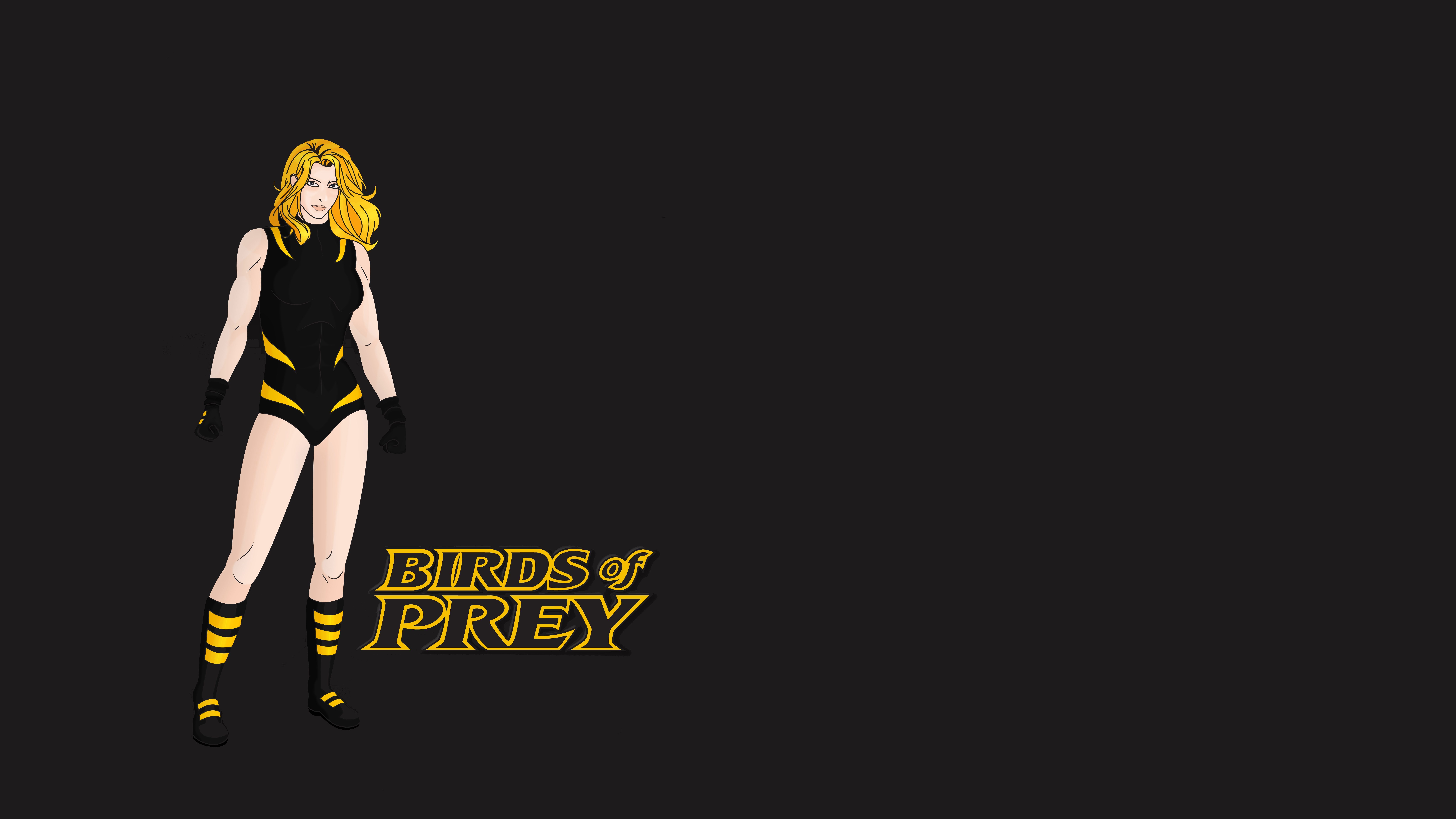 Free download wallpaper Comics, Black Canary, Birds Of Prey on your PC desktop