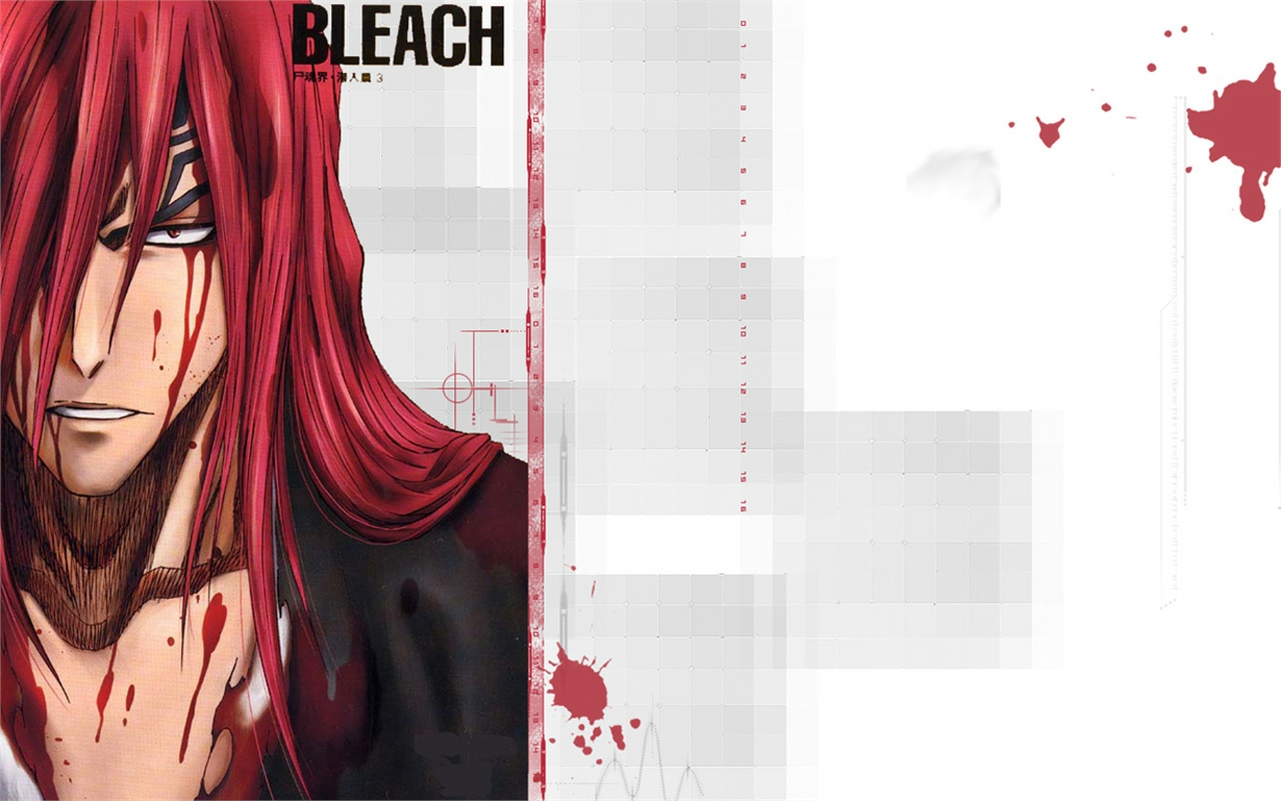 Free download wallpaper Anime, Bleach, Renji Abarai on your PC desktop