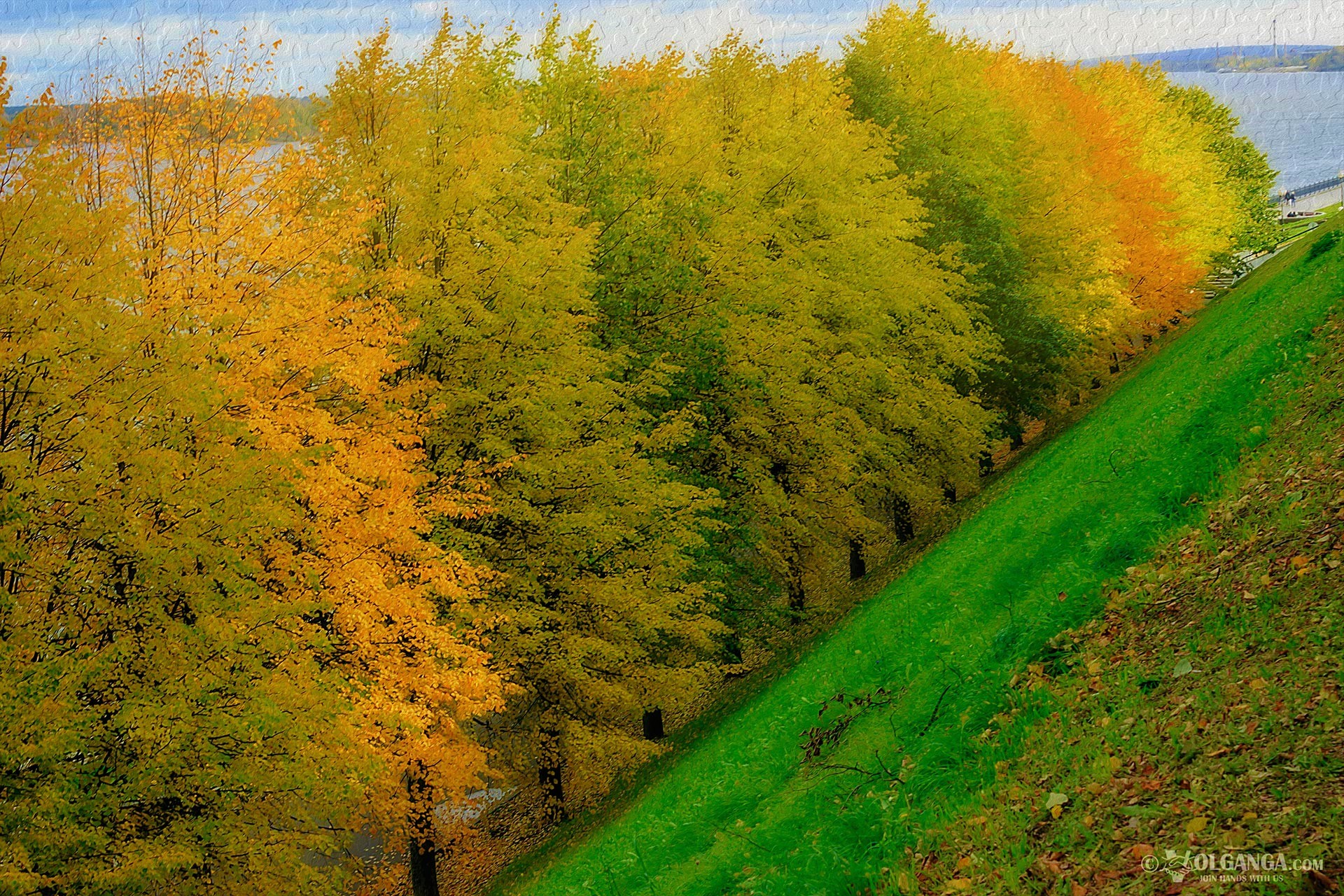 Descarga gratuita de fondo de pantalla para móvil de Otoño, Árbol, Tierra, Tierra/naturaleza.