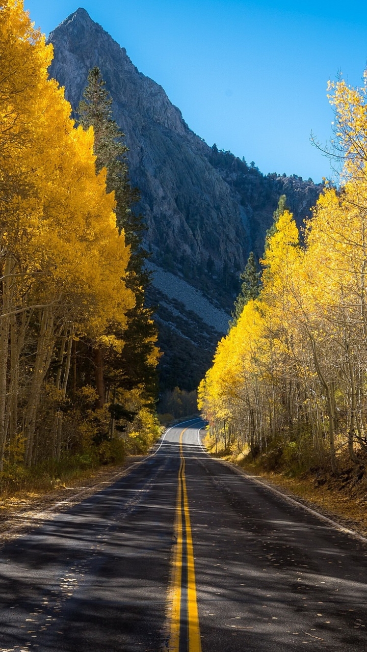 Download mobile wallpaper Nature, Road, Tree, Fall, Man Made for free.