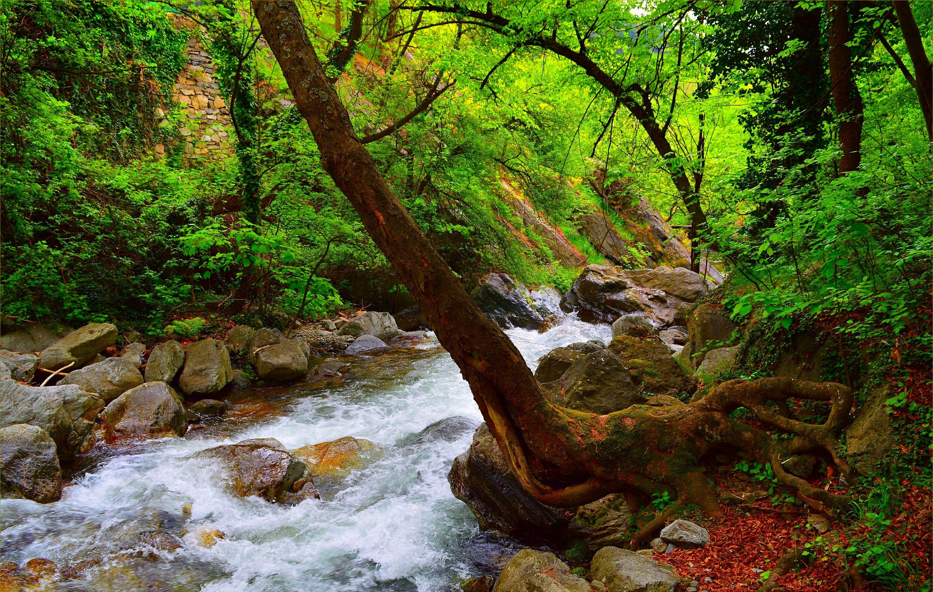 Handy-Wallpaper Fluss, Erde/natur kostenlos herunterladen.