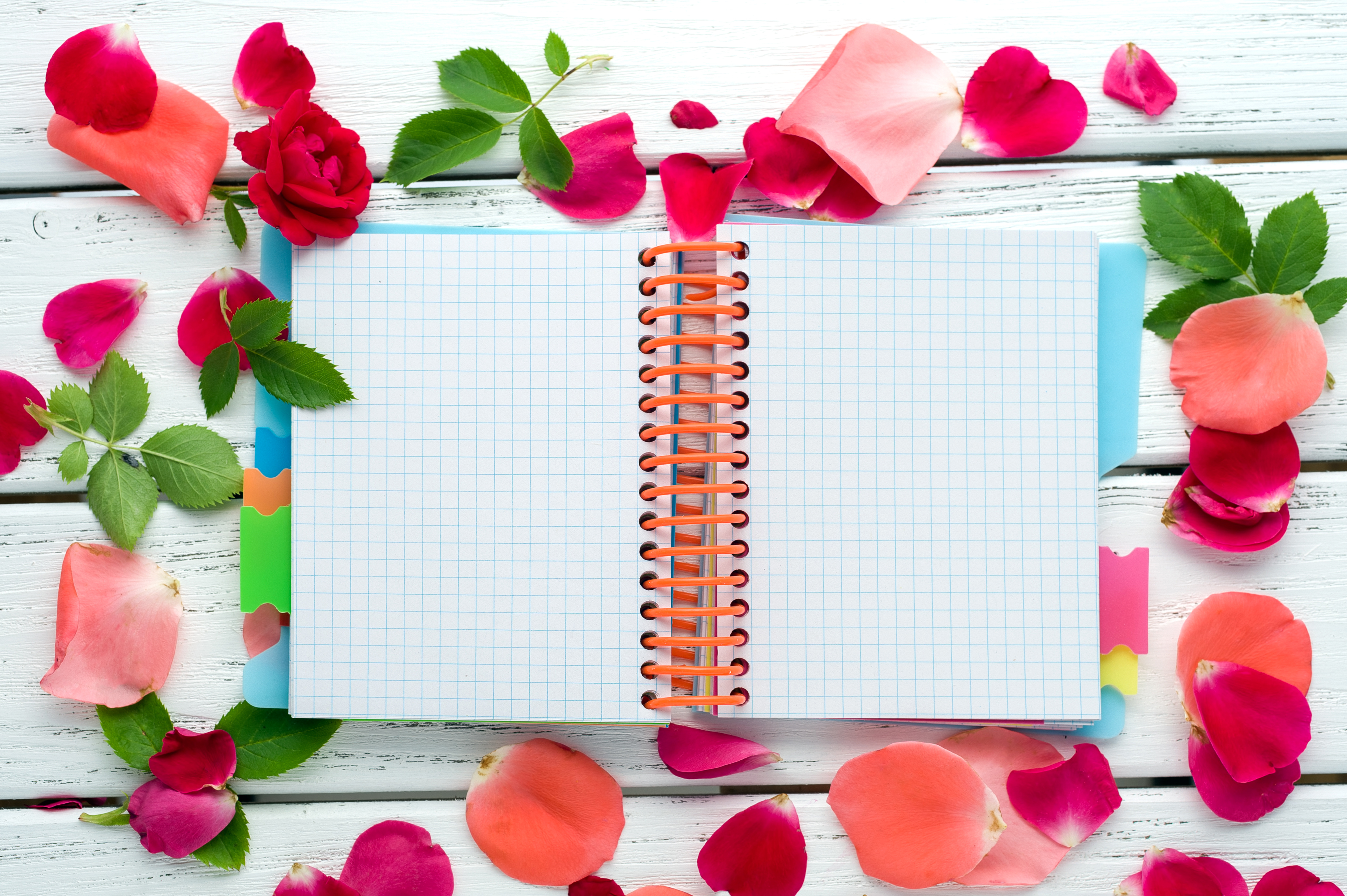 Free download wallpaper Flower, Colors, Book, Notebook, Petal, Man Made on your PC desktop