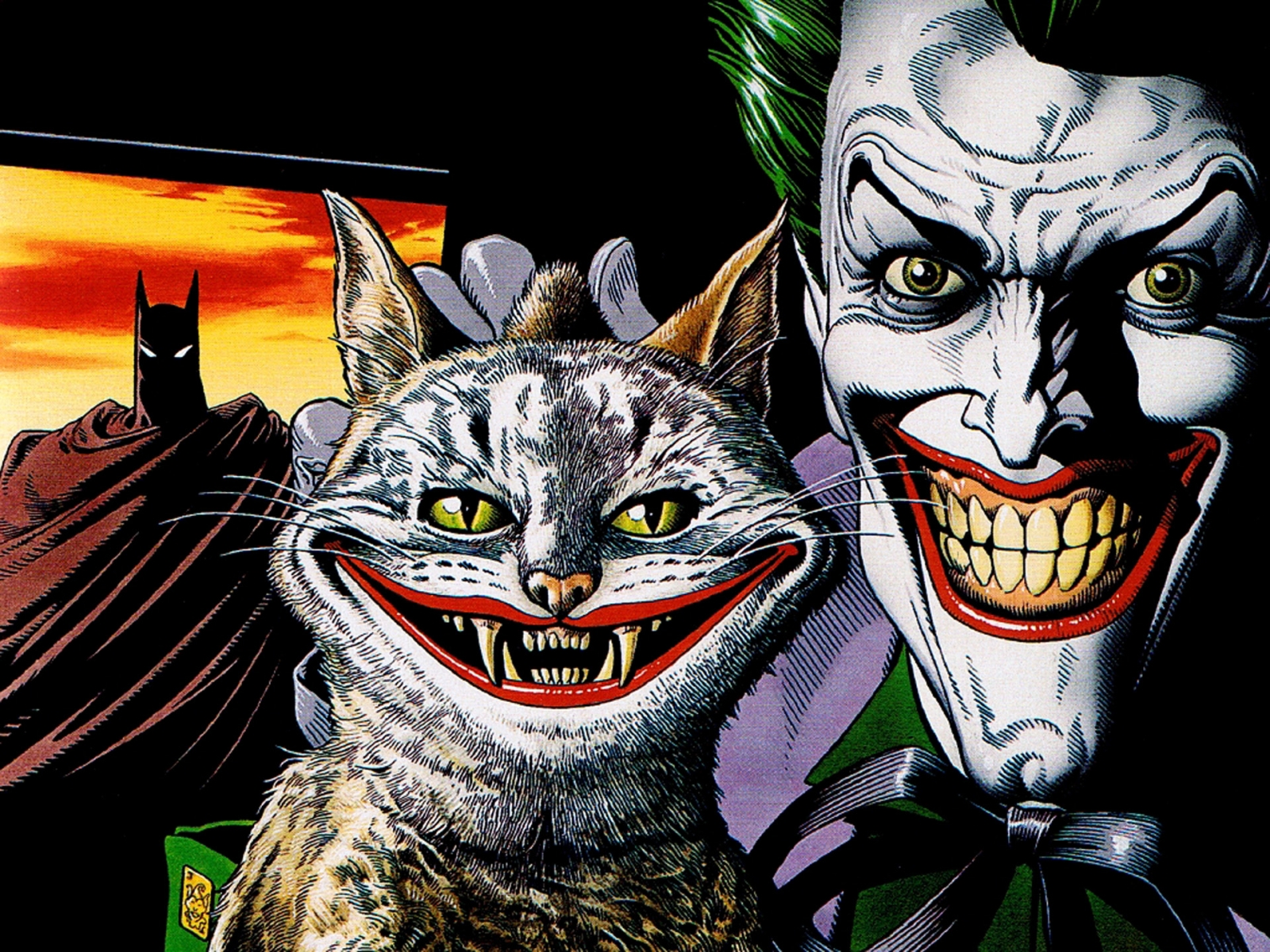 Handy-Wallpaper Katze, The Batman, Comics, Joker kostenlos herunterladen.