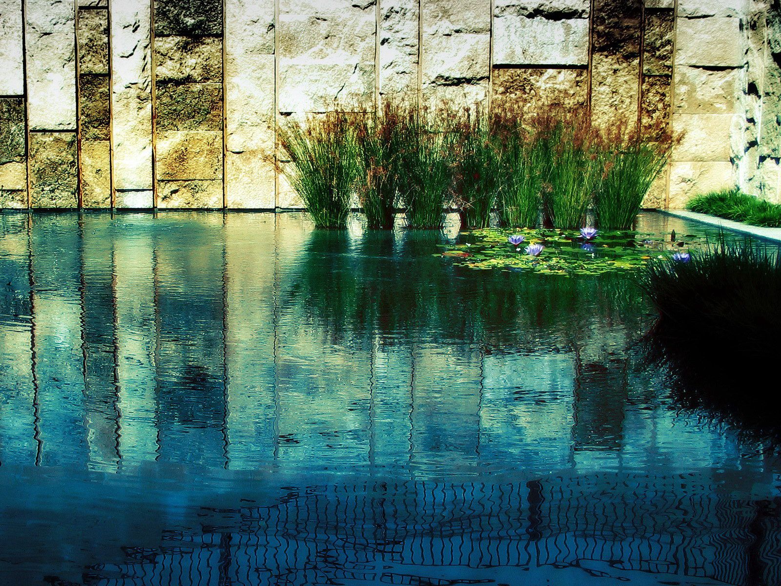 Download mobile wallpaper Grass, Reflection, Water, Stones, Wall, Nature for free.