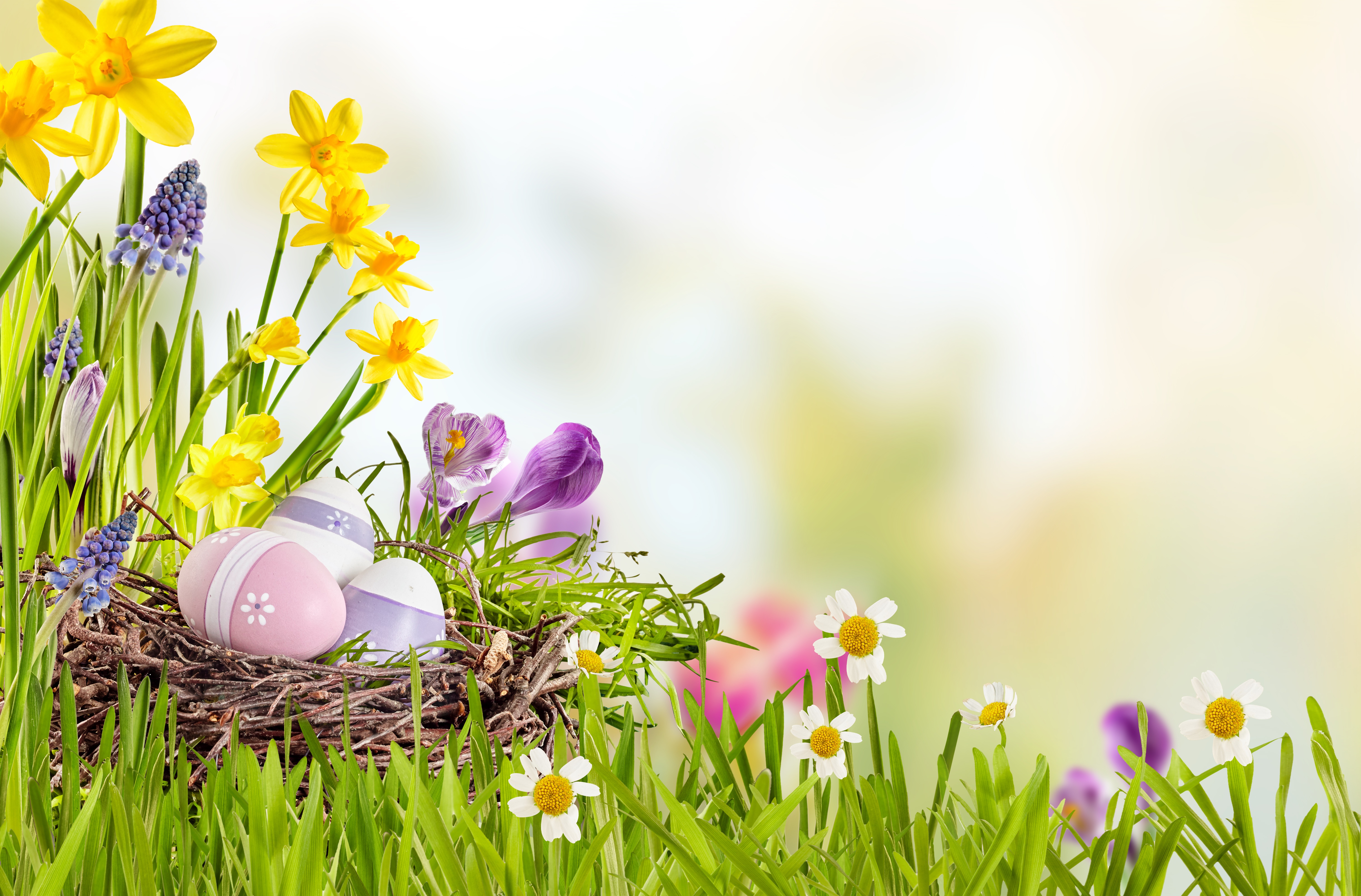 Laden Sie das Feiertage, Ostern, Blume, Korb, Gras, Osterei-Bild kostenlos auf Ihren PC-Desktop herunter