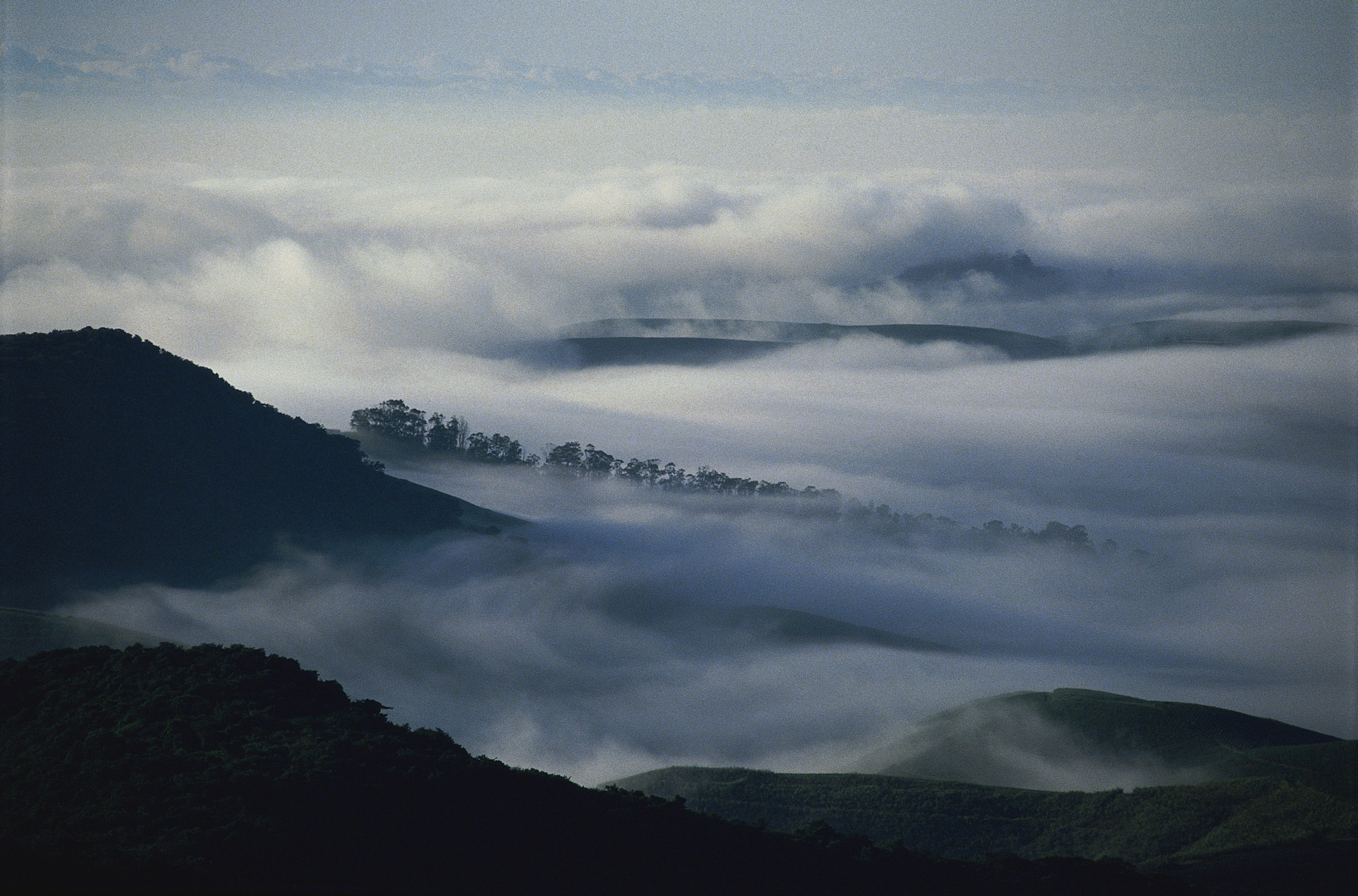 116015 скачать обои мрак, природа, деревья, горы, облака, туман, мгла - заставки и картинки бесплатно