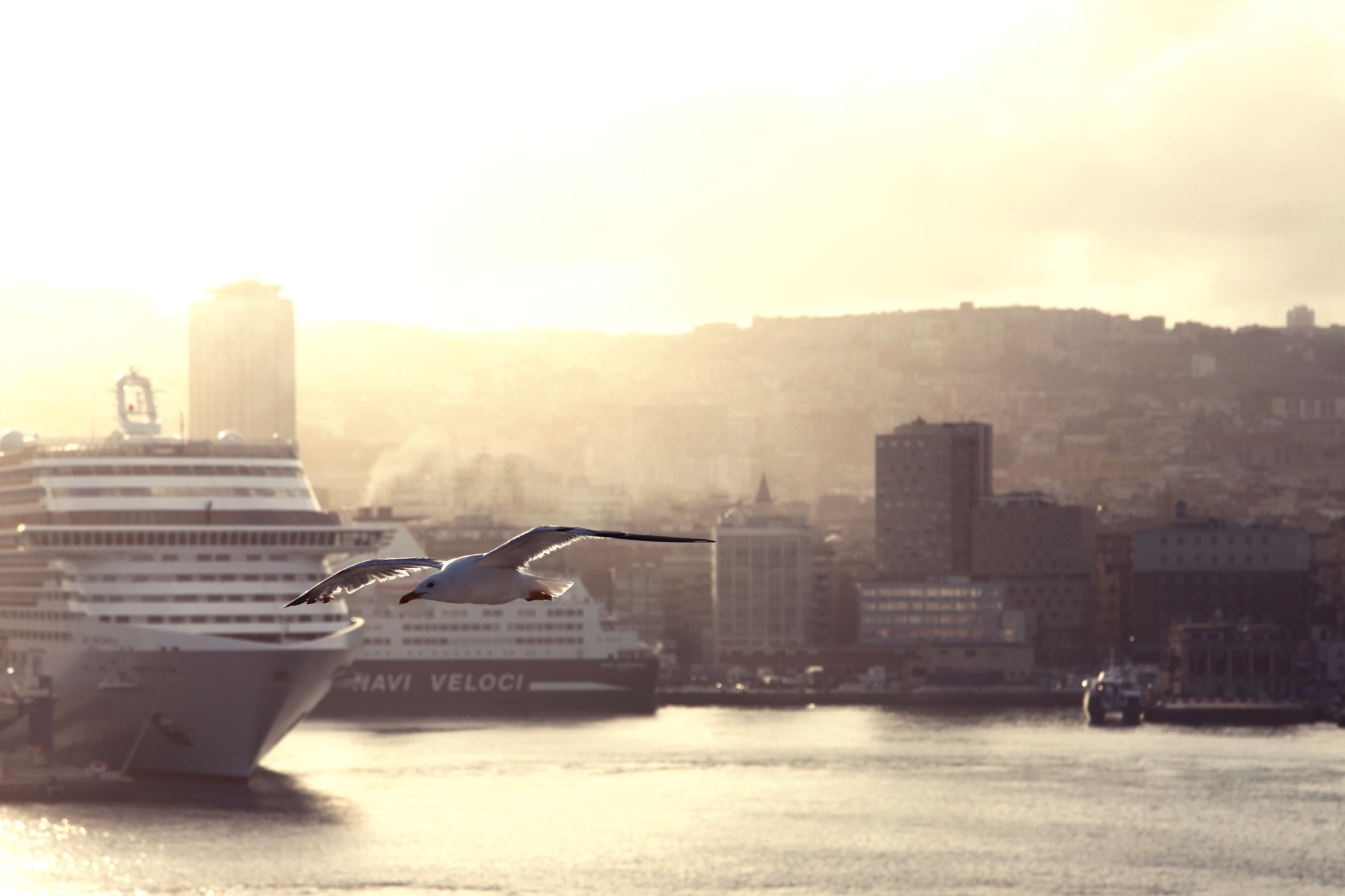 Download mobile wallpaper Sunset, Italy, Bird, Seagull, Photography, Cruise Ship, Naples, Sunbeam for free.