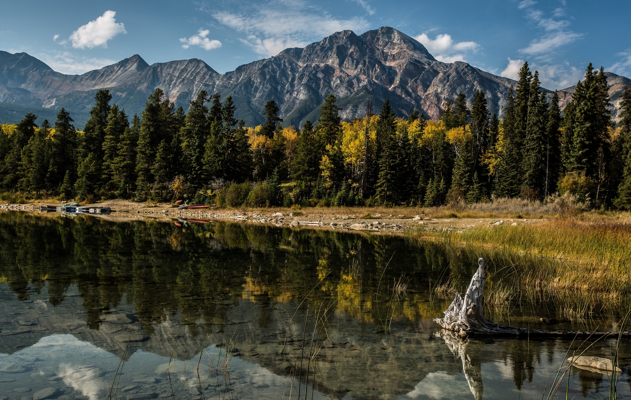 Téléchargez gratuitement l'image Réflexion, Albert, Alberta, Nature, Lac, Arbres, Montagnes, Canada sur le bureau de votre PC