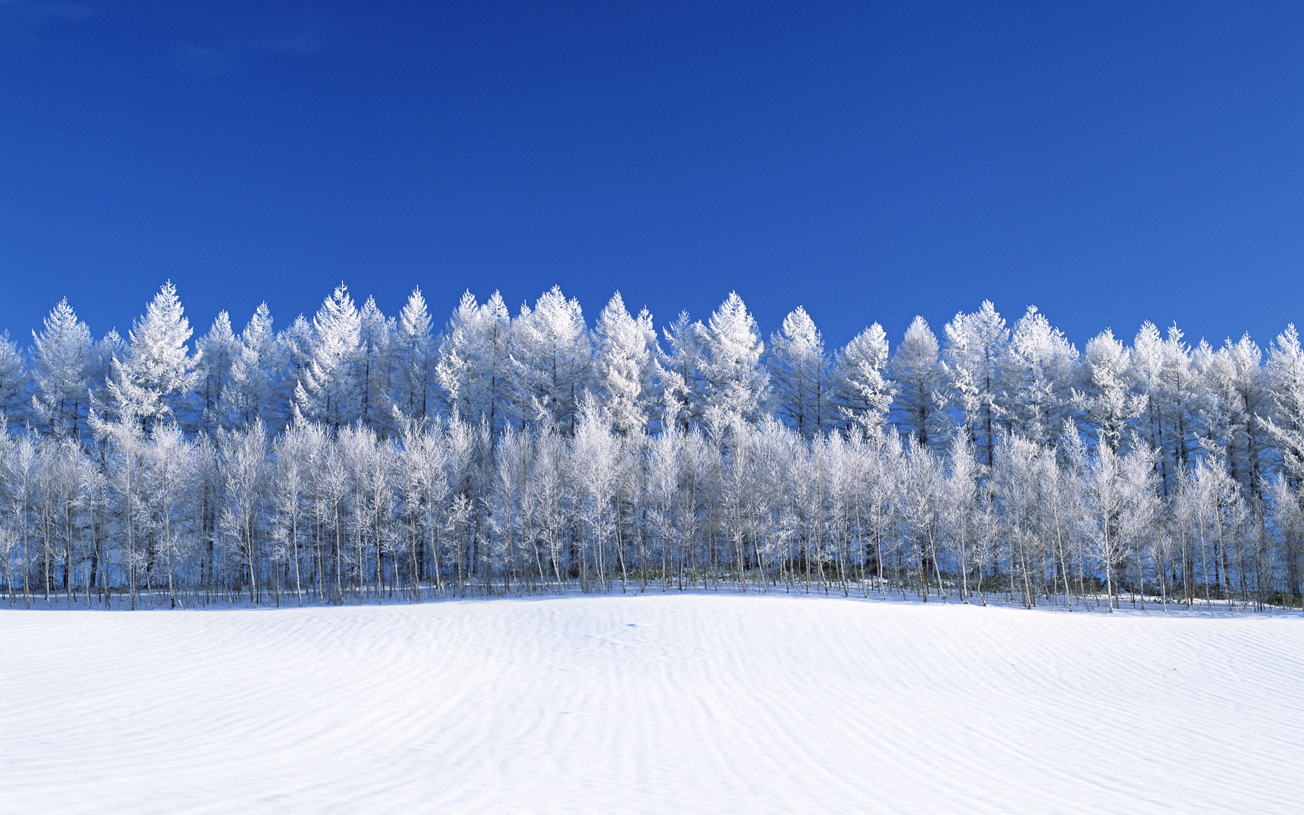 Download mobile wallpaper Winter, Earth for free.