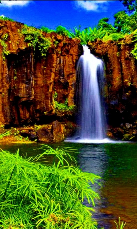 Скачать картинку Природа, Водопады, Водопад, Земля, Зеленый, Тропический, Земля/природа в телефон бесплатно.