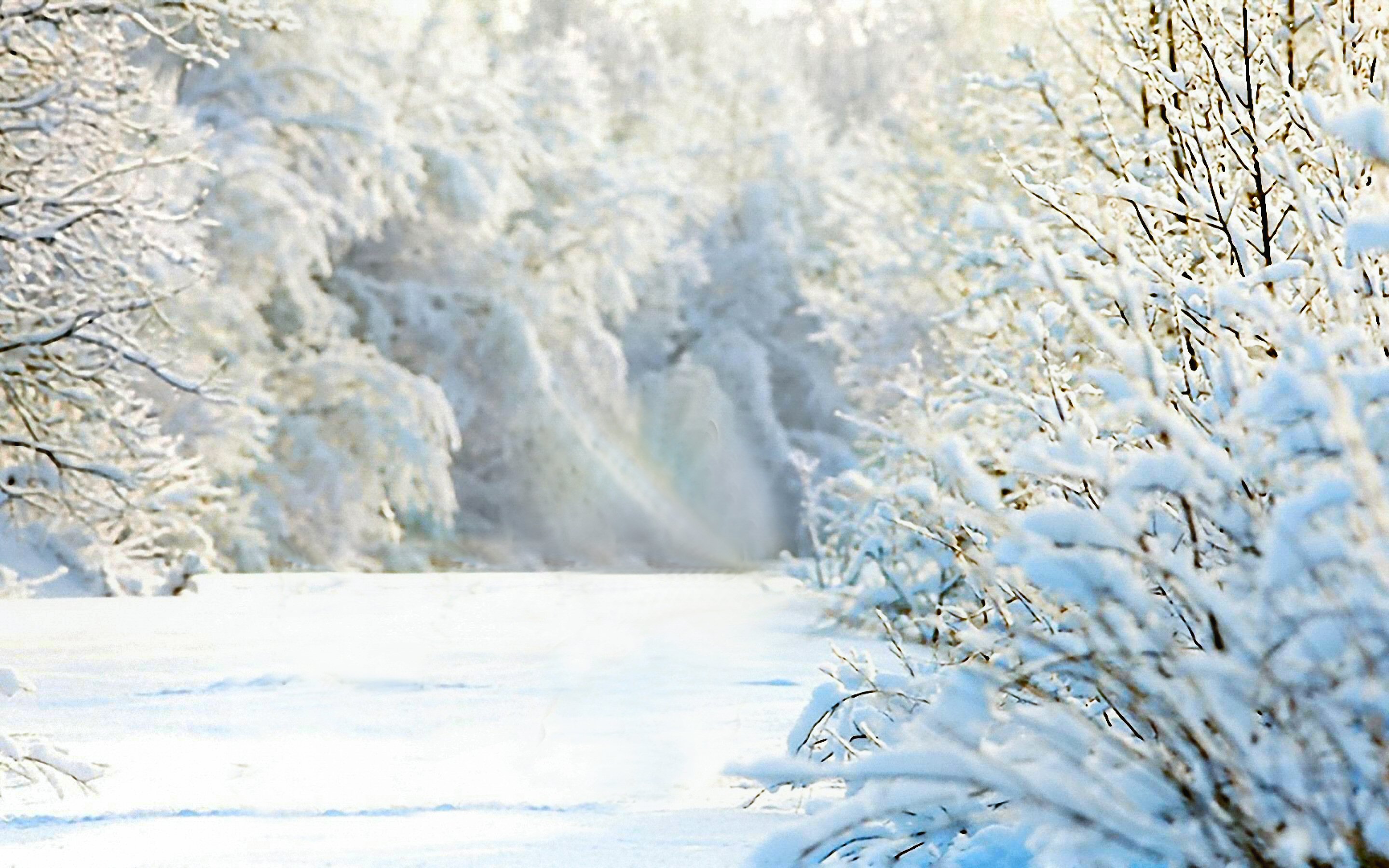 Скачать обои бесплатно Зима, Природа, Снег, Дерево, Белый, Живопись, Земля/природа картинка на рабочий стол ПК