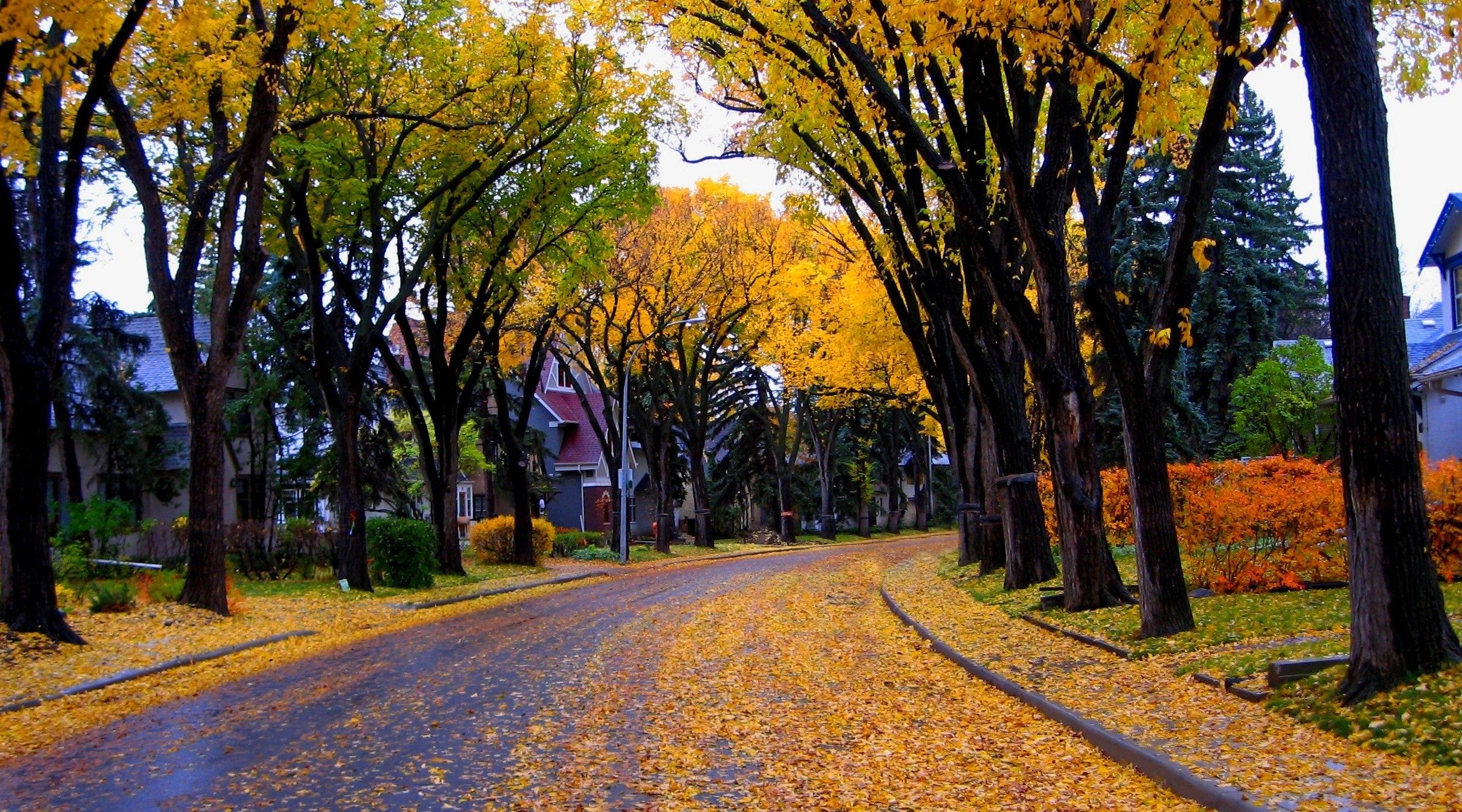 Free download wallpaper Tree, Fall, House, Street, Man Made on your PC desktop