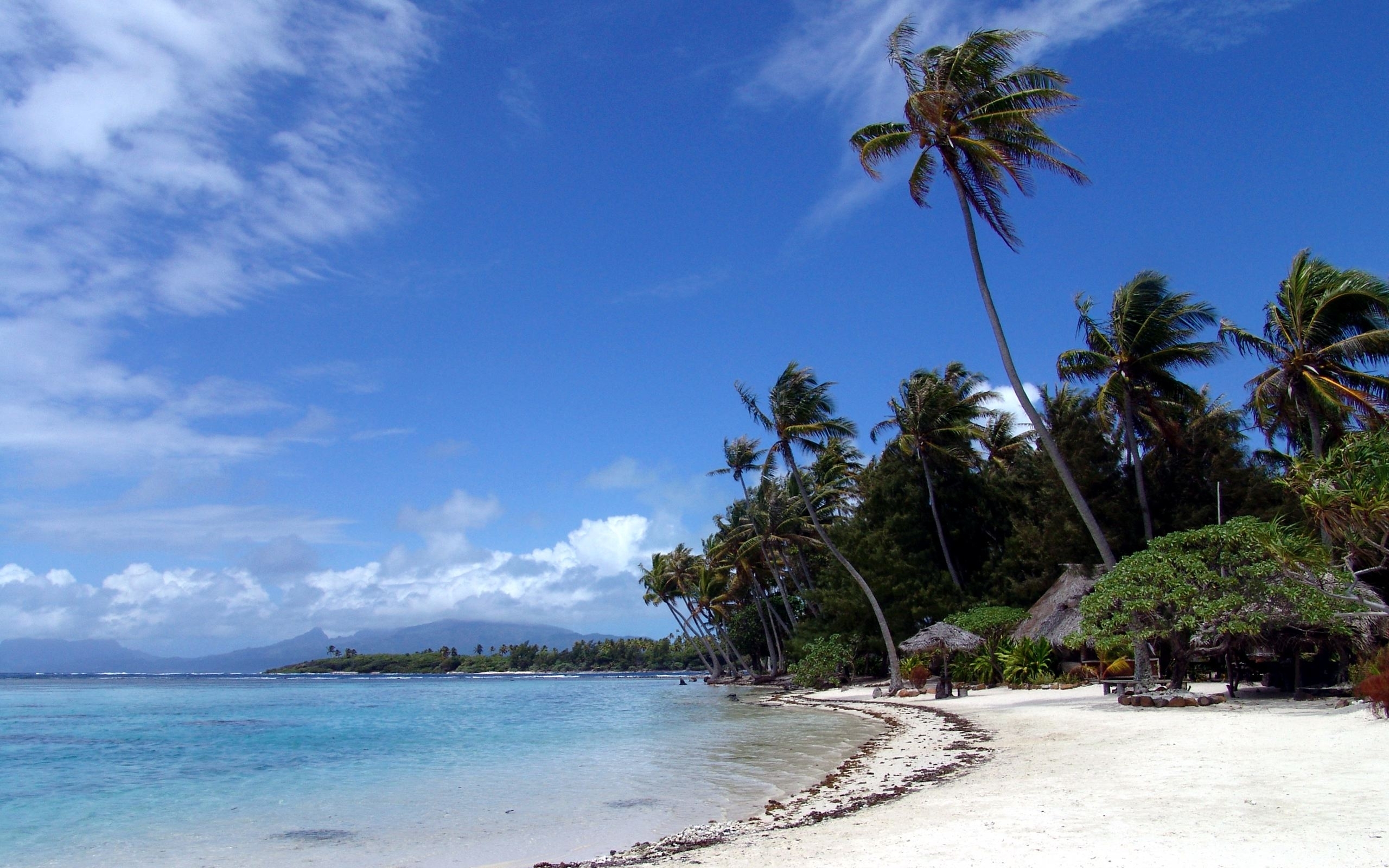 Free download wallpaper Landscape, Sky, Sea, Palms, Beach on your PC desktop