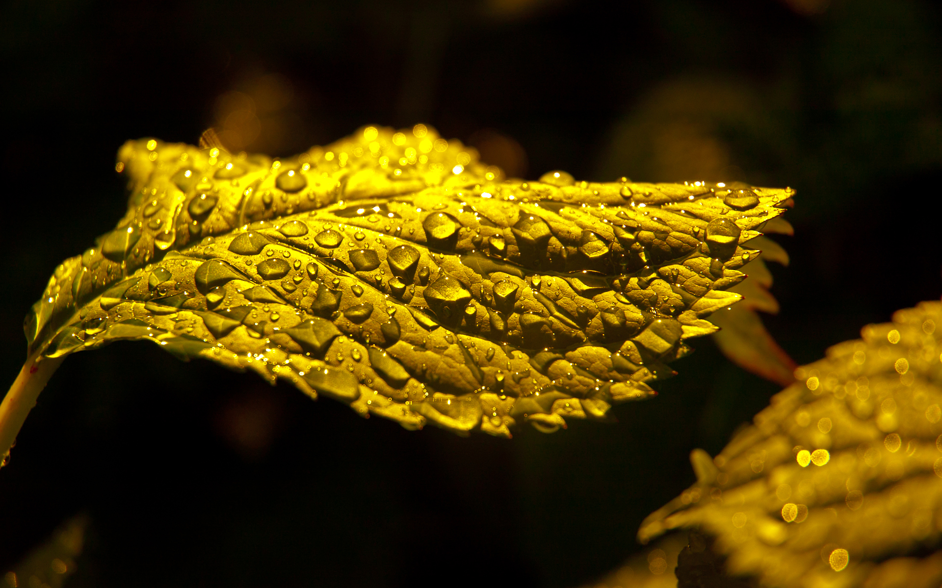 Free download wallpaper Earth, Water Drop on your PC desktop