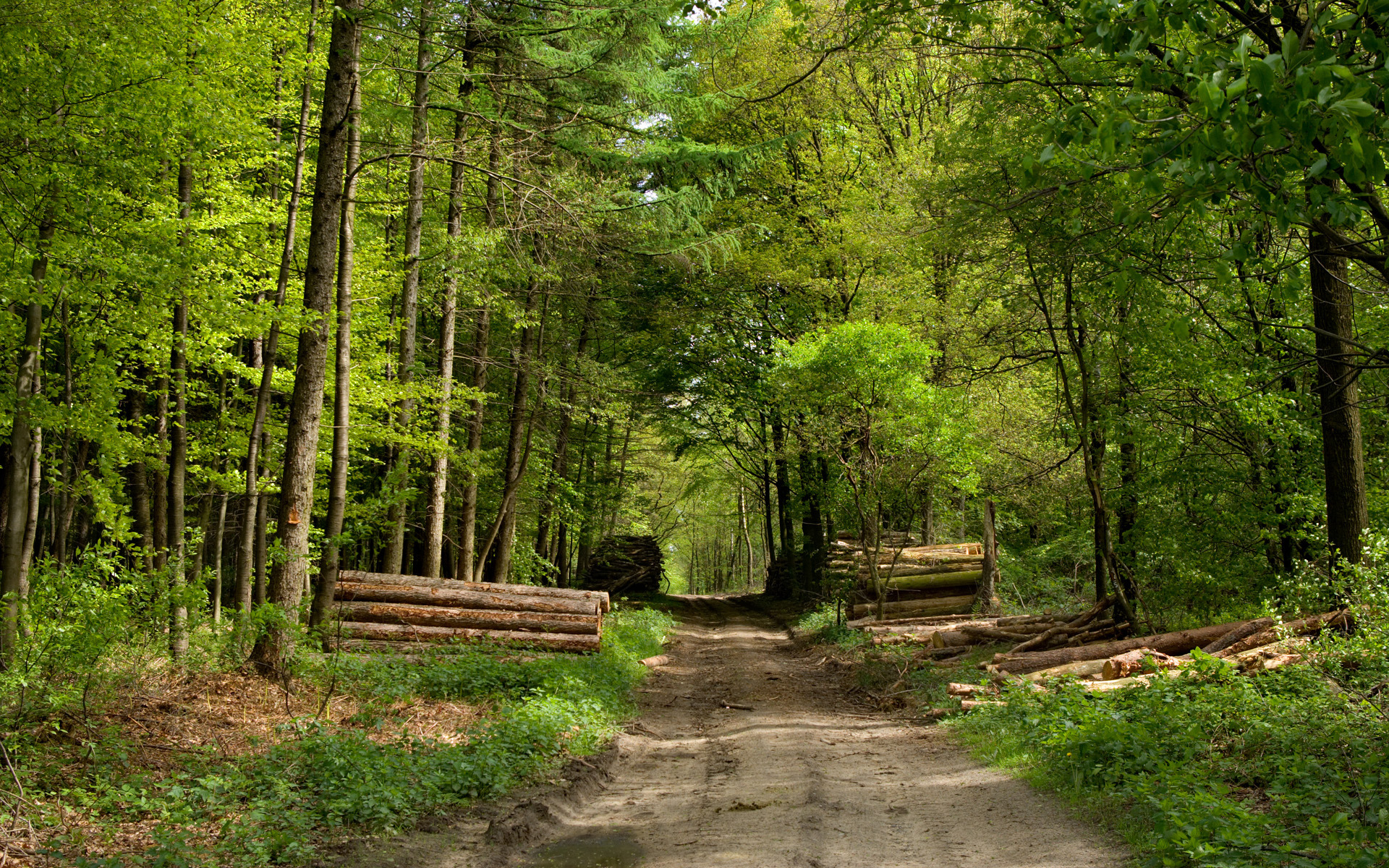 613744 fond d'écran 480x1024 sur votre téléphone gratuitement, téléchargez des images  480x1024 sur votre mobile