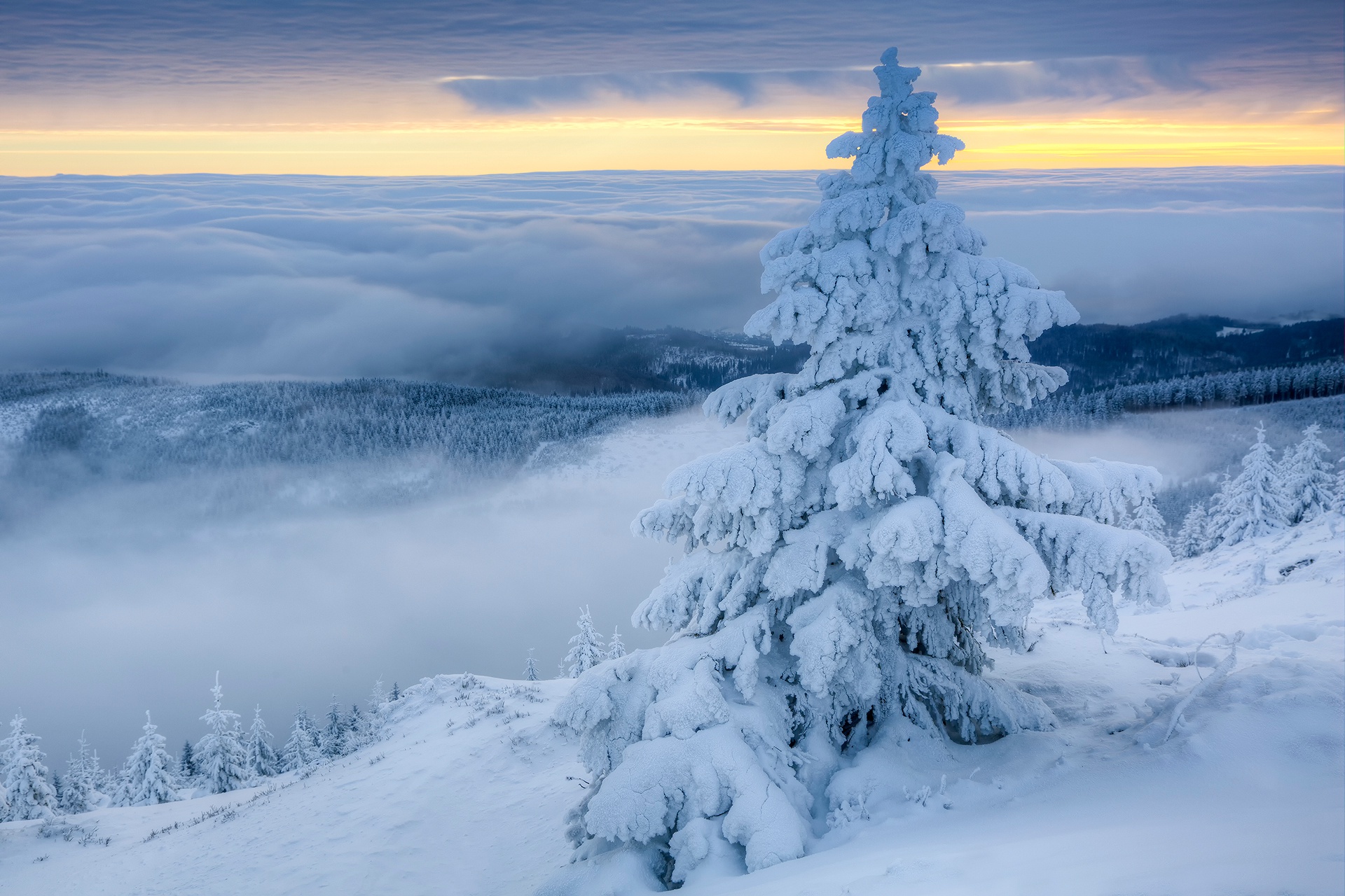 Download mobile wallpaper Landscape, Winter, Nature, Snow, Poland, Horizon, Fog, Earth, Cloud for free.