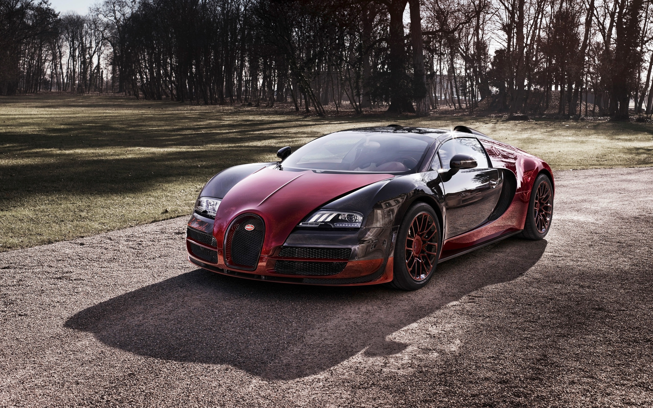 Die besten Bugatti Veyron Grand Sport Vitesse-Hintergründe für den Telefonbildschirm