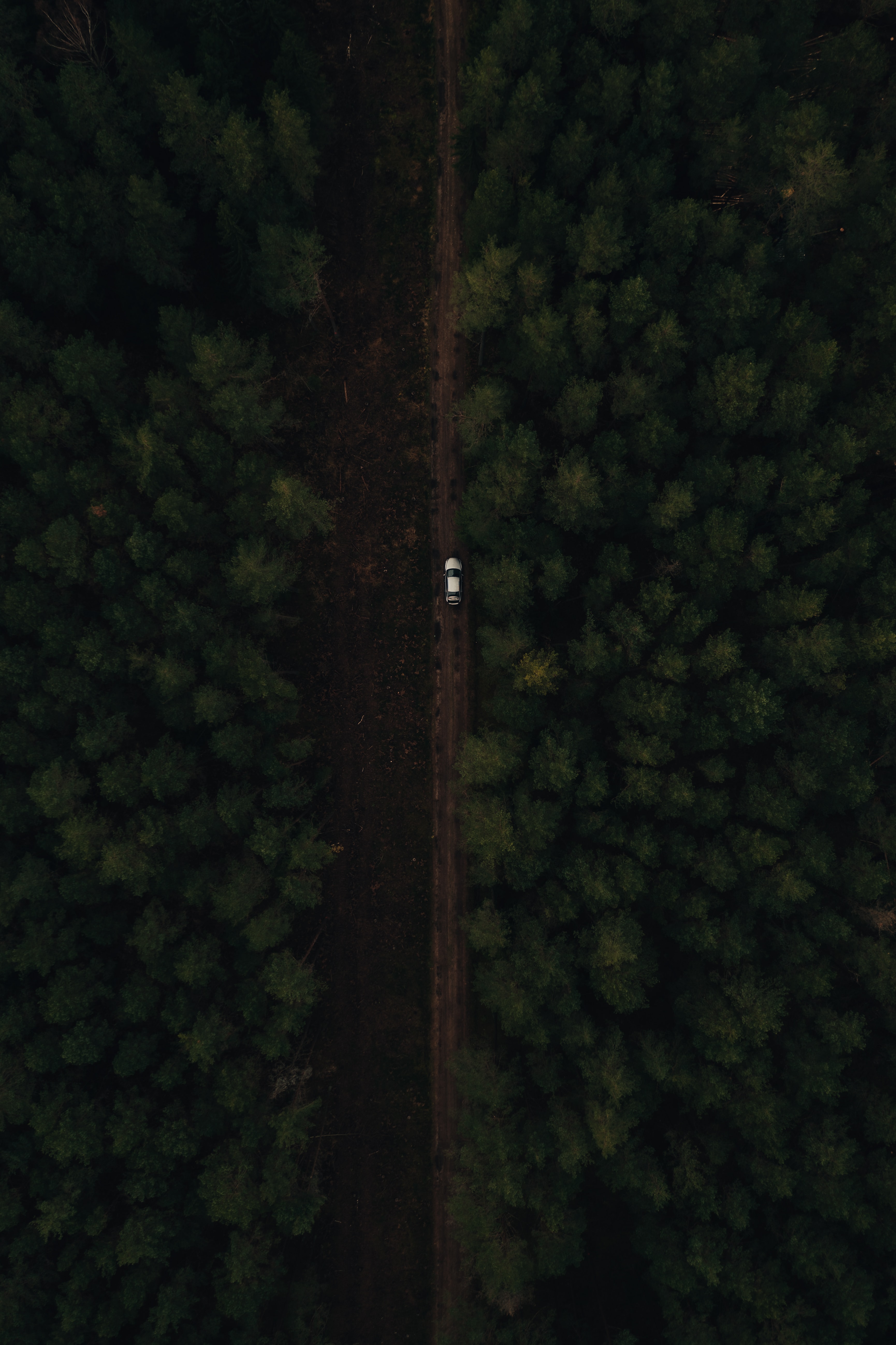 Download mobile wallpaper Miscellaneous, Miscellanea, Road, View From Above, Forest, Car for free.