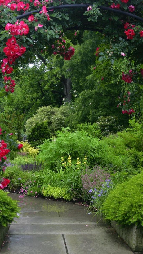 無料モバイル壁紙花, 薔薇, 公園, アーチ, 赤いバラ, 赤い花, マンメイドをダウンロードします。