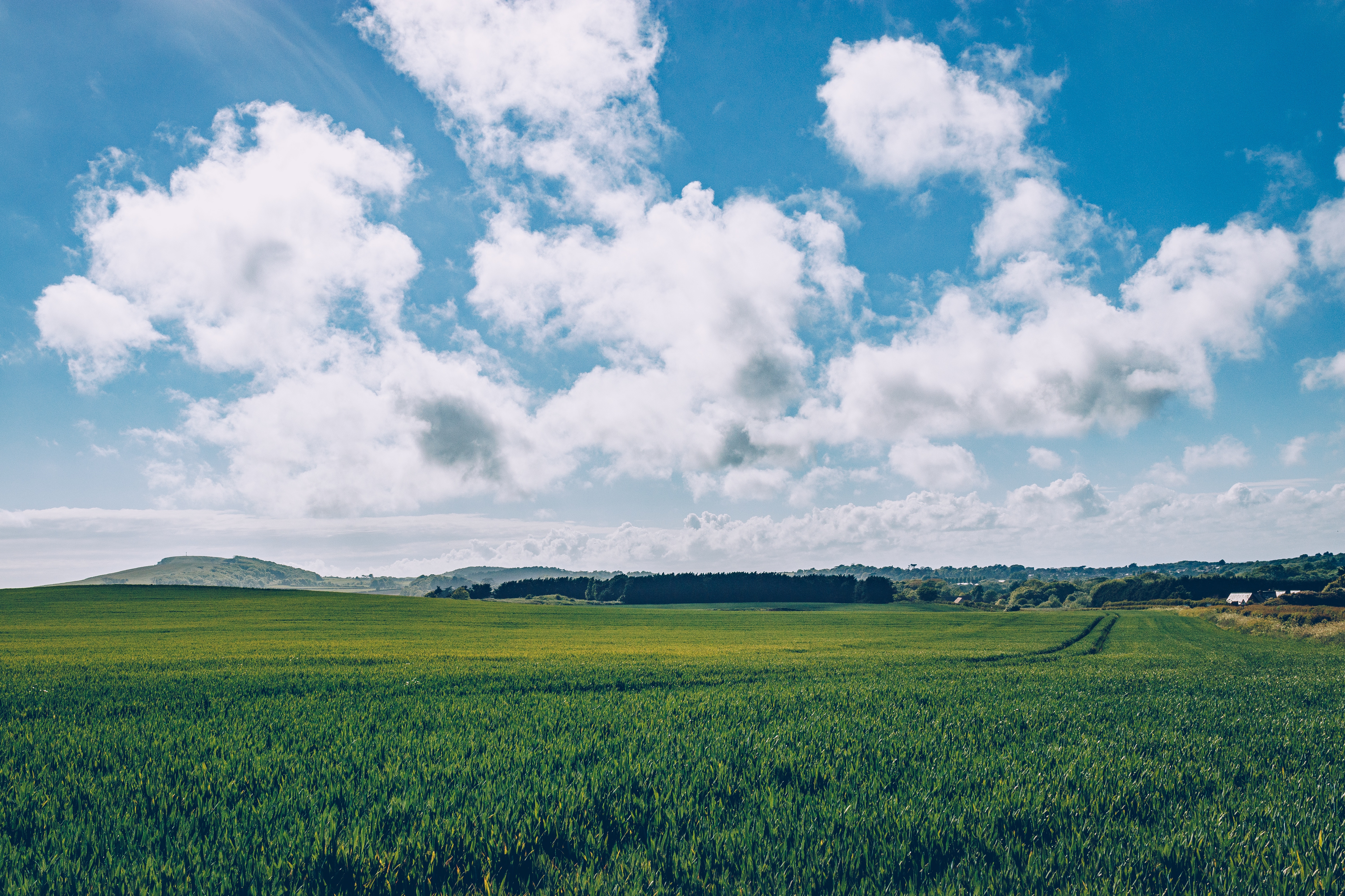 Free download wallpaper Grass, Nature, Horizon, Field on your PC desktop