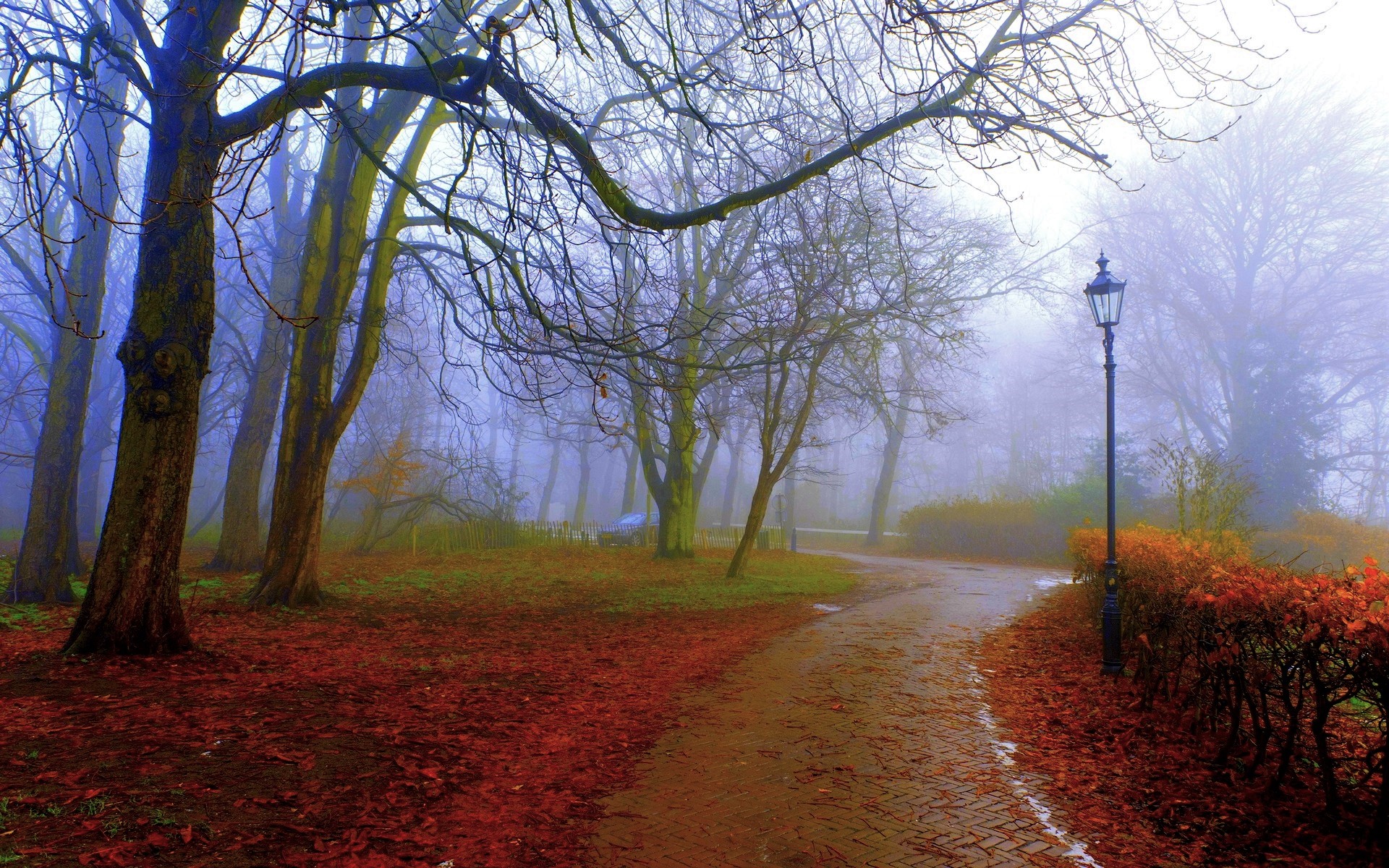 Free download wallpaper Park, Tree, Fog, Fall, Path, Man Made on your PC desktop