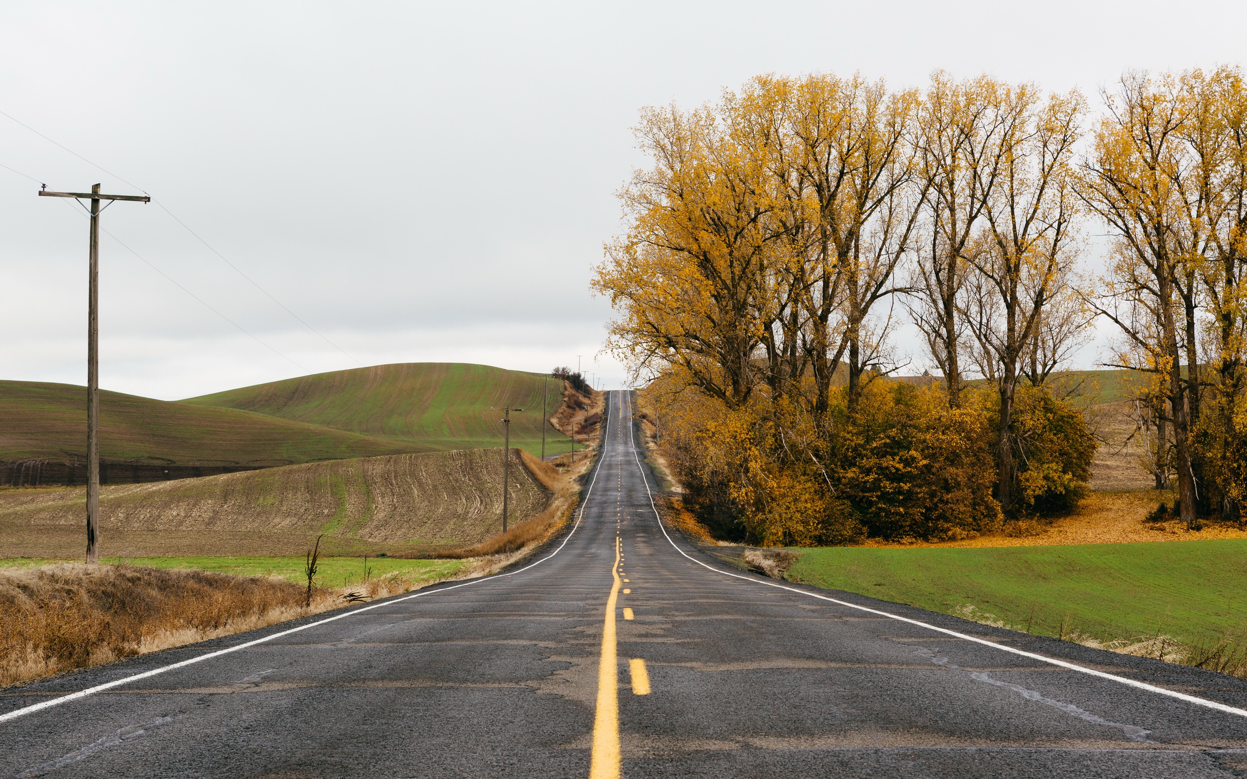 Free download wallpaper Landscape, Road, Fall, Man Made on your PC desktop