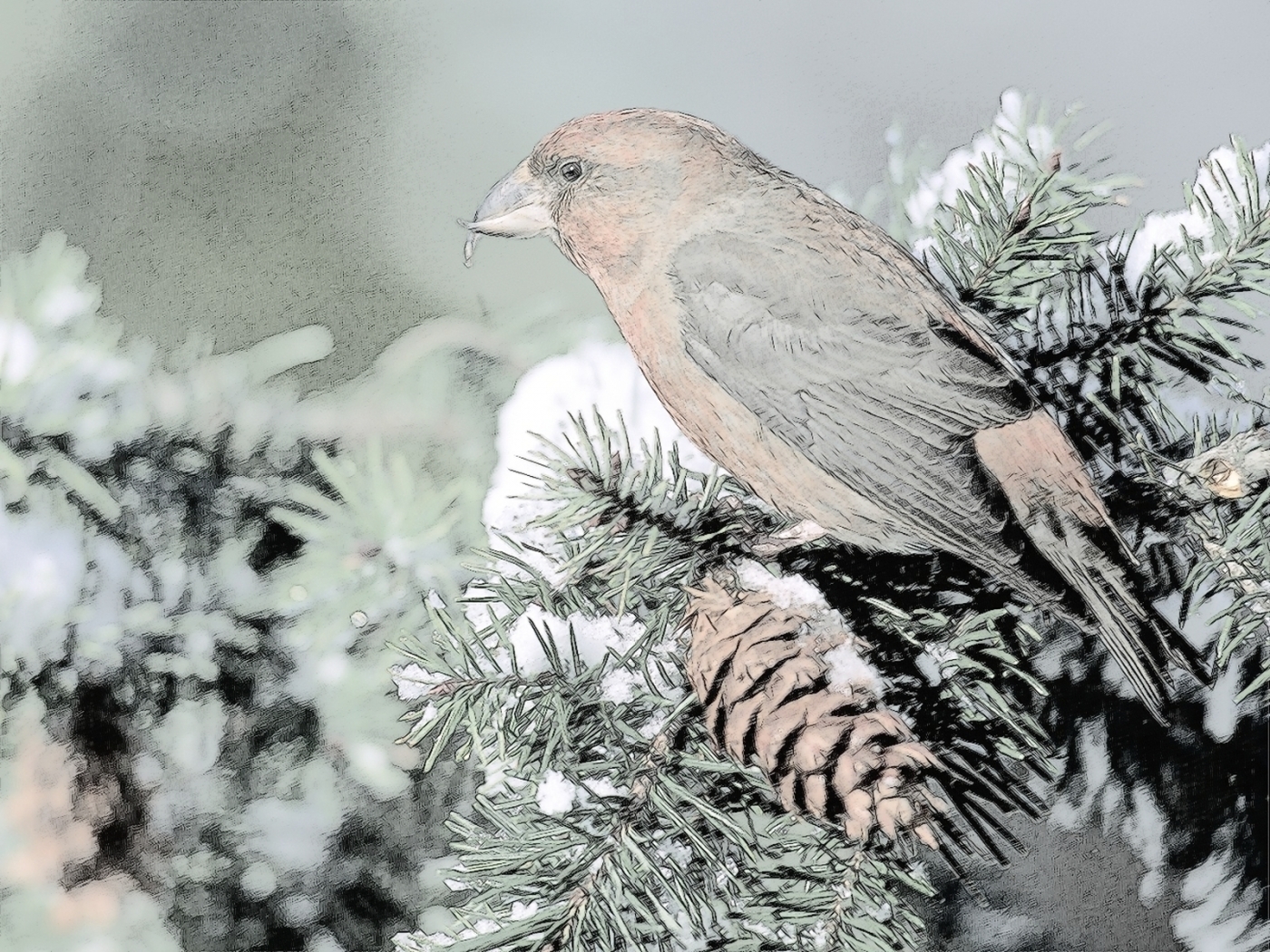 Free download wallpaper Animals, Birds, Snow, Landscape on your PC desktop
