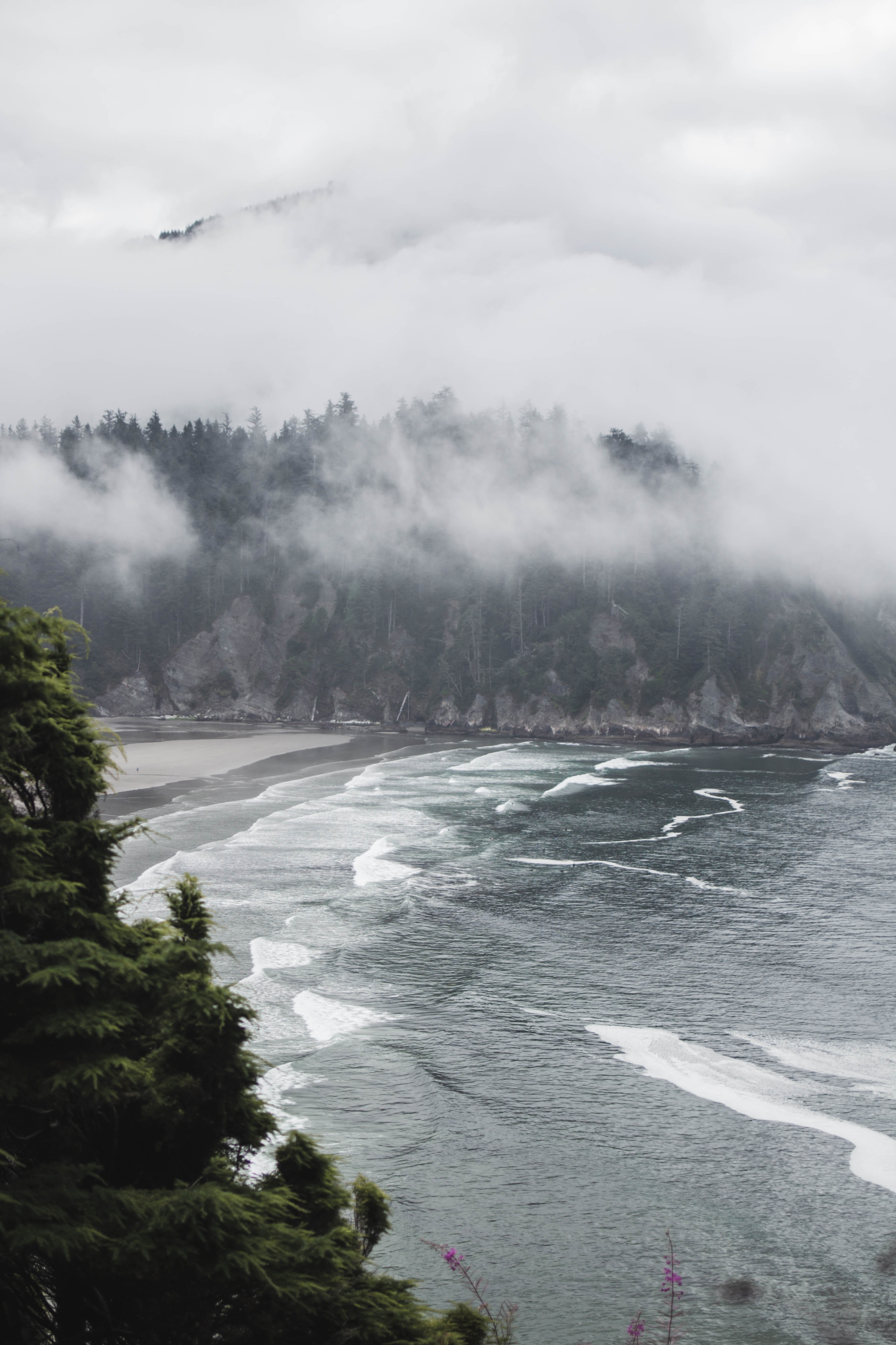 Laden Sie das Natur, Bäume, Bush, Nebel, Sea-Bild kostenlos auf Ihren PC-Desktop herunter