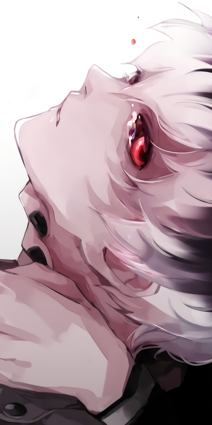 Baixar papel de parede para celular de Anime, Lágrimas, Olhos Vermelhos, Cabelo Branco, Ken Kaneki, Tokyo Ghoul, Haise Sasaki, Tokyo Ghoul: Re gratuito.