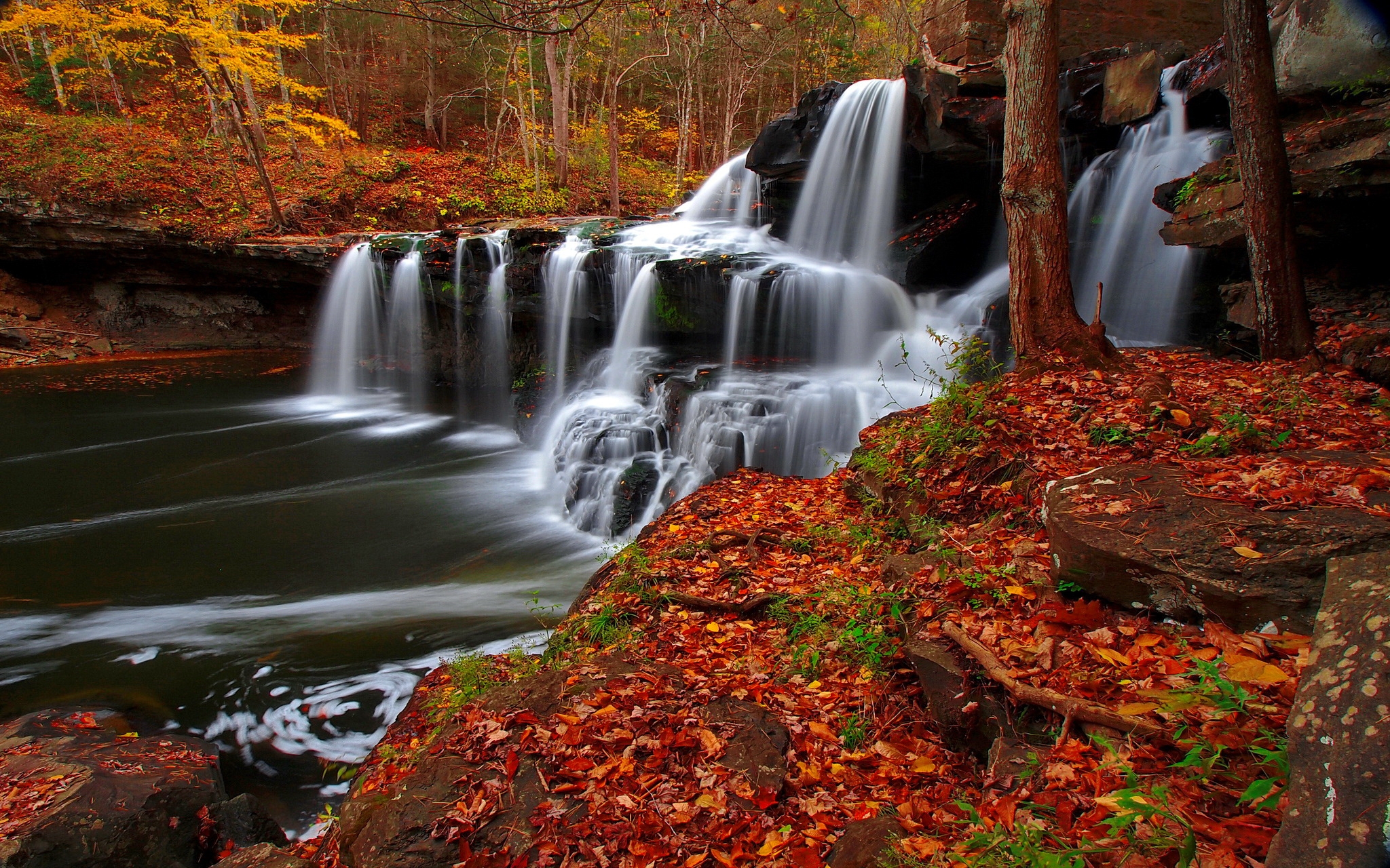 Descarga gratis la imagen Cascadas, Cascada, Bosque, Tierra/naturaleza en el escritorio de tu PC