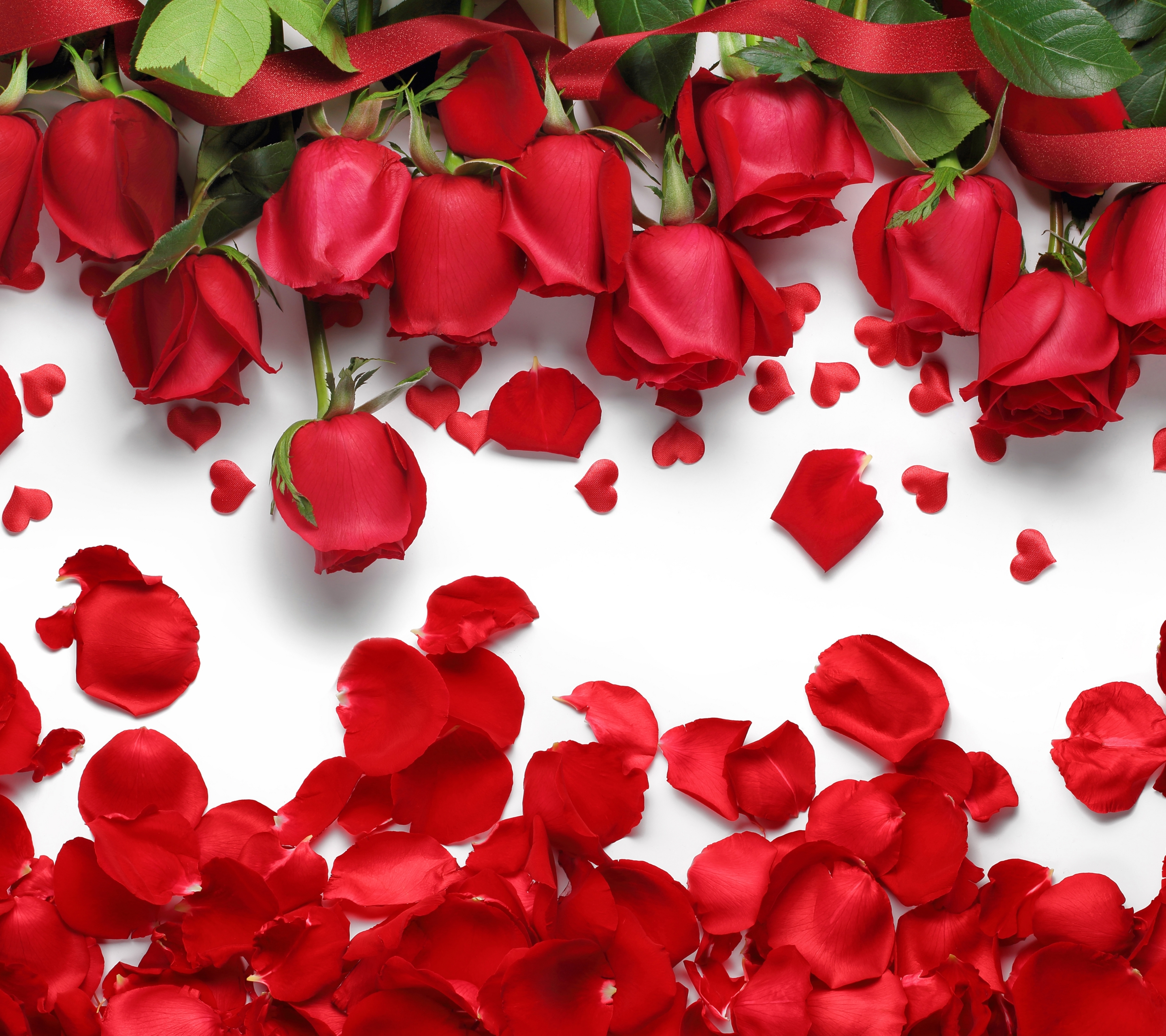 Скачать обои бесплатно Цветок, Роза, Лепесток, Красная Роза, Красный Цветок, Земля/природа, Флауэрсы картинка на рабочий стол ПК