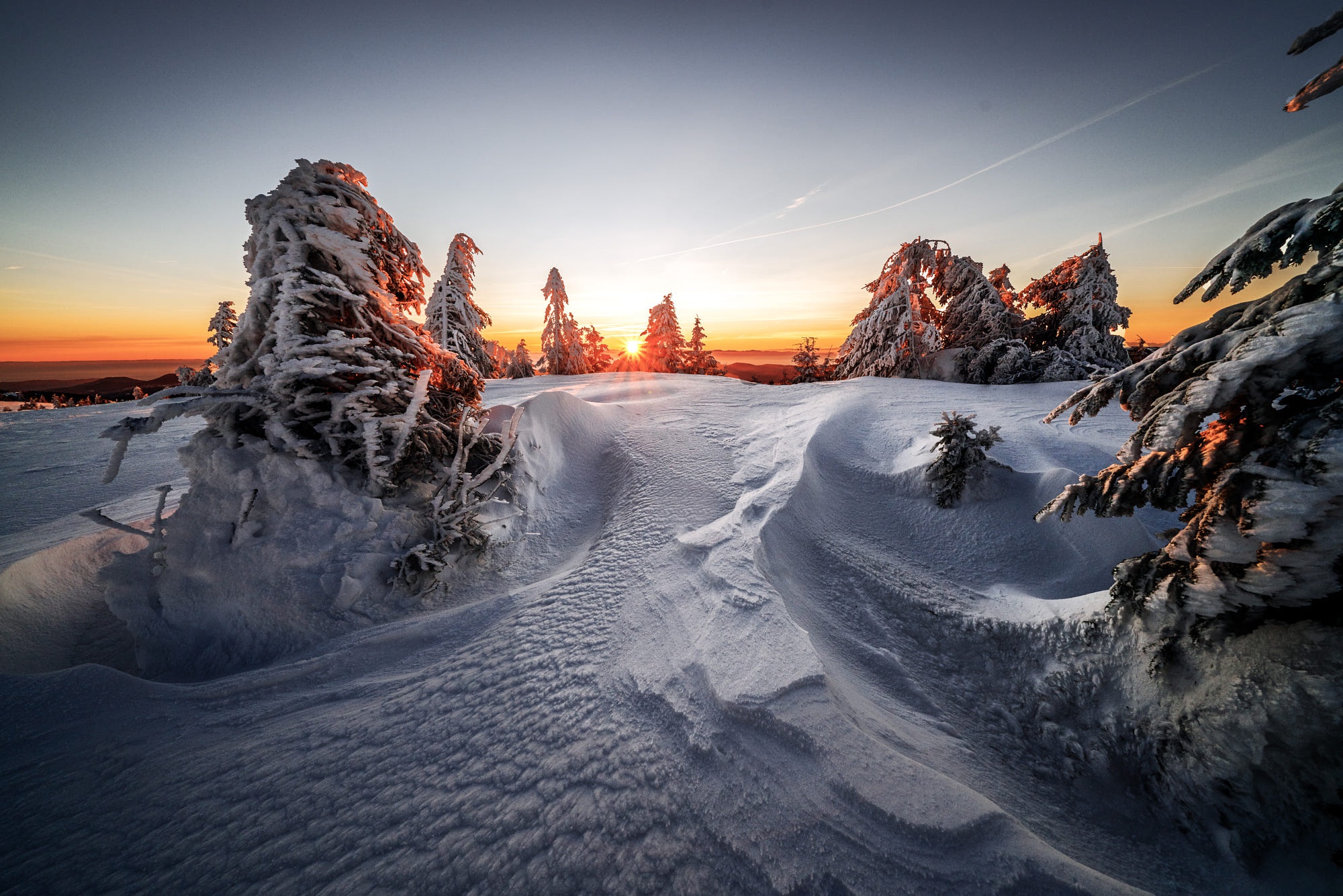Скачать обои бесплатно Зима, Природа, Закат, Снег, Ель, Земля/природа картинка на рабочий стол ПК