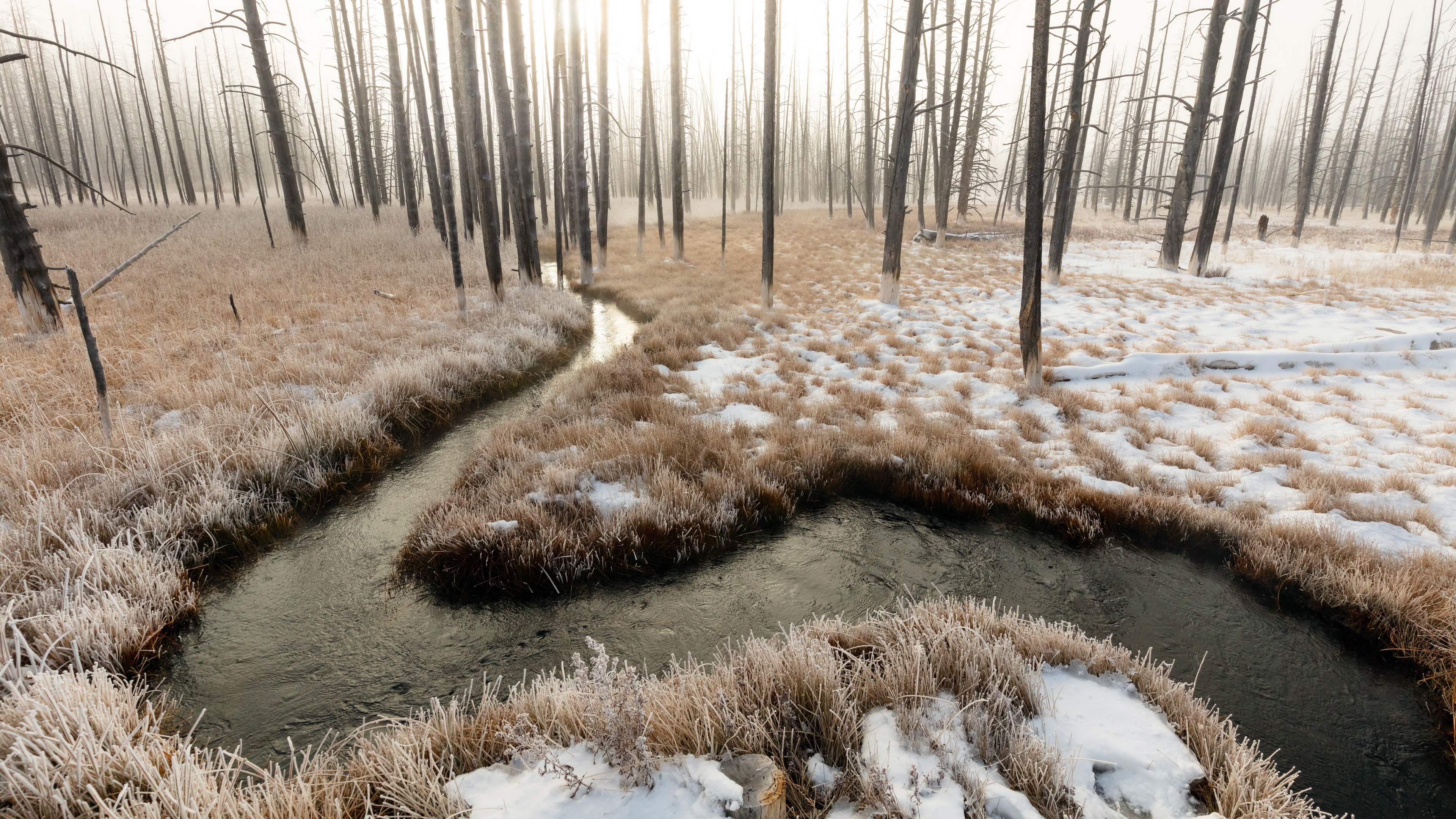 Descarga gratis la imagen Naturaleza, Nieve, Rio, Bosque, Chorro, Tierra/naturaleza en el escritorio de tu PC