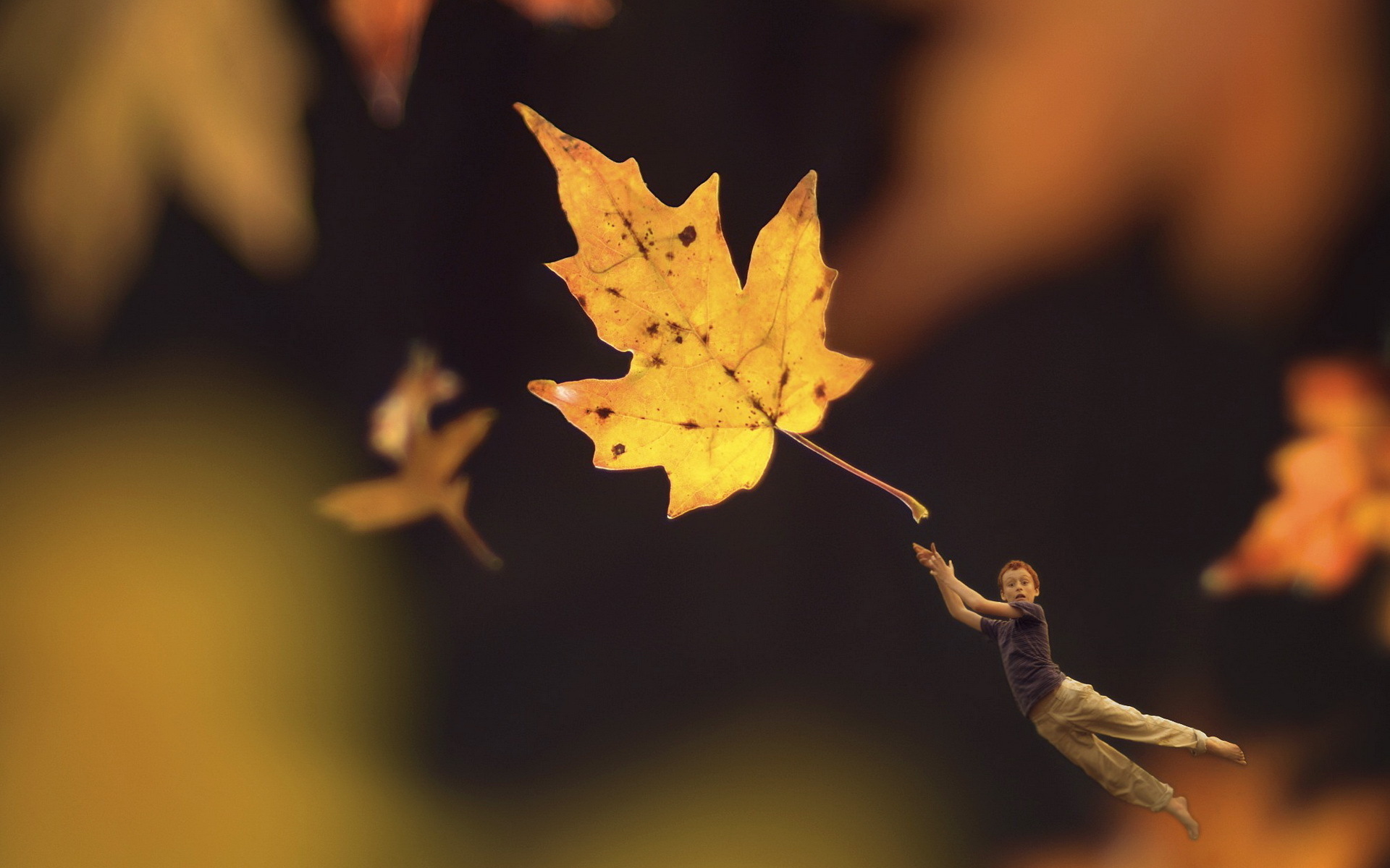 無料モバイル壁紙自然, 秋, 葉, 大きい, 地球, シーズンをダウンロードします。