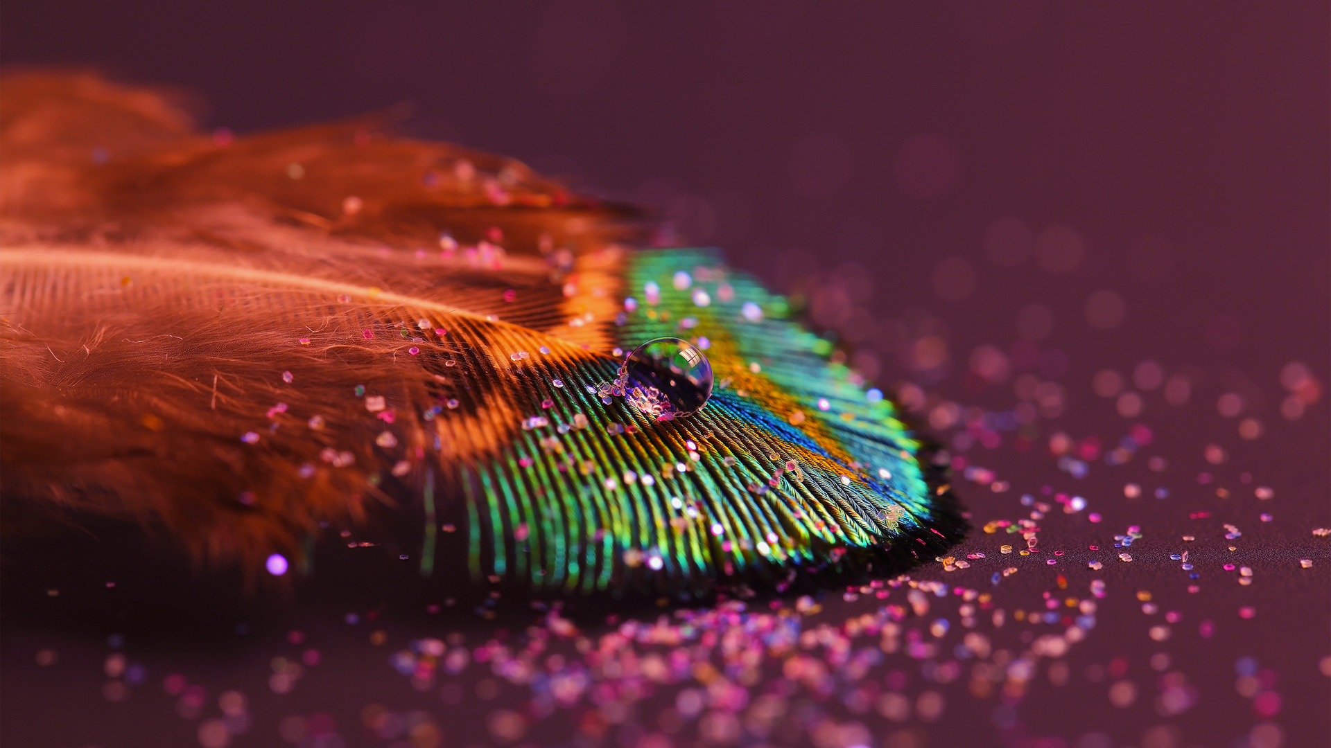 Free download wallpaper Objects, Feather on your PC desktop