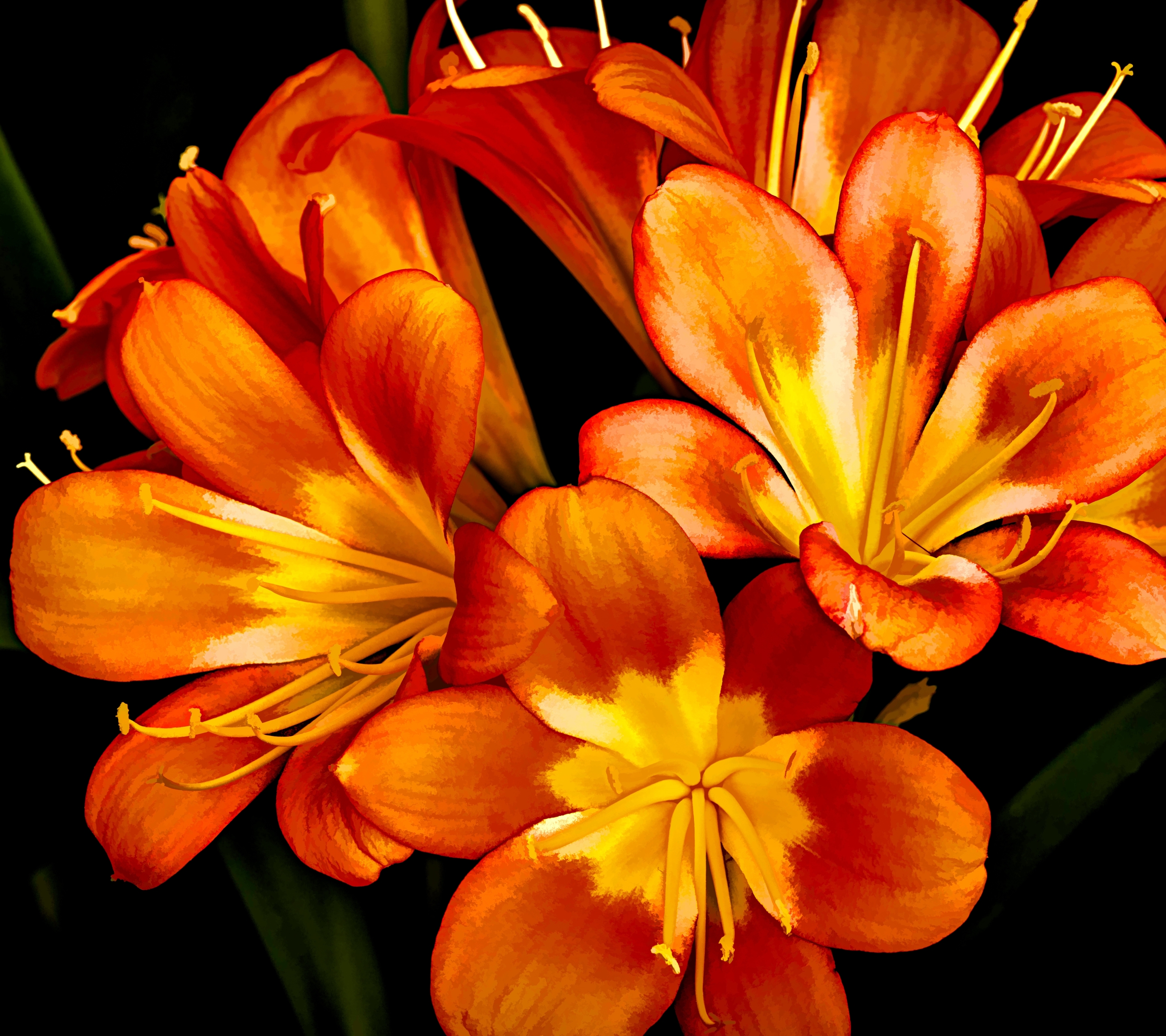 Free download wallpaper Flowers, Flower, Painting, Artistic, Orange Flower on your PC desktop