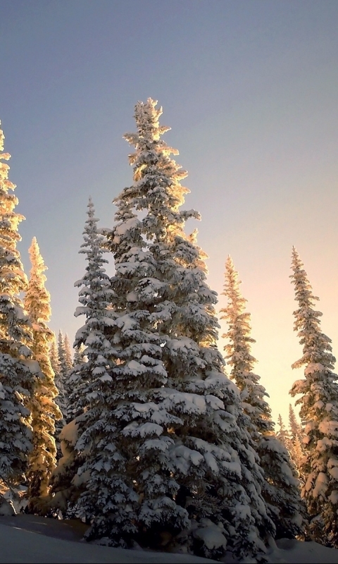 Baixar papel de parede para celular de Inverno, Neve, Montanha, Terra/natureza gratuito.